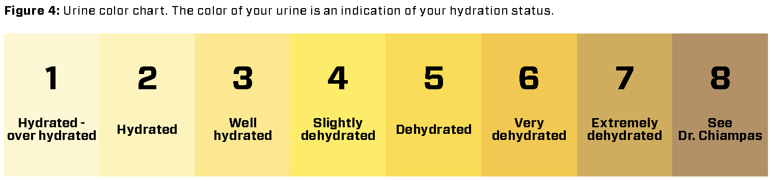 Dehydration Chart