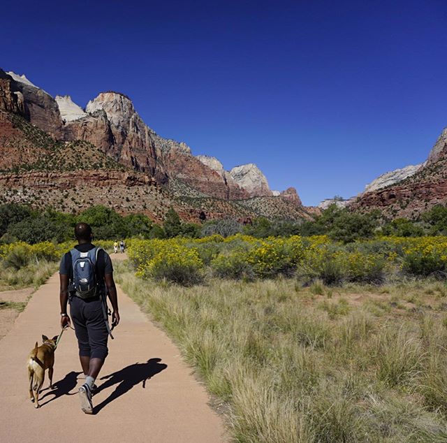 Dogs aren't allowed in most of the National Parks, but we found one dog-friendly trail at Zion and it was beautiful!