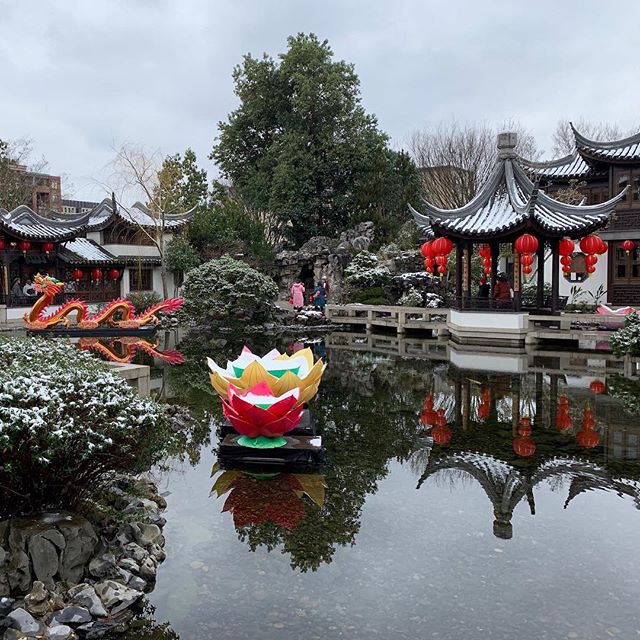 We observed the Lunar New Year with a trip to the @lansuchinesegarden and a delicious home-cooked hot pot meal. We feel so lucky to be able to celebrate with good food, family, and friends. Wishing a year of health and happiness to all!