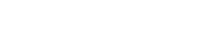 Partner_Logos_WIT.png