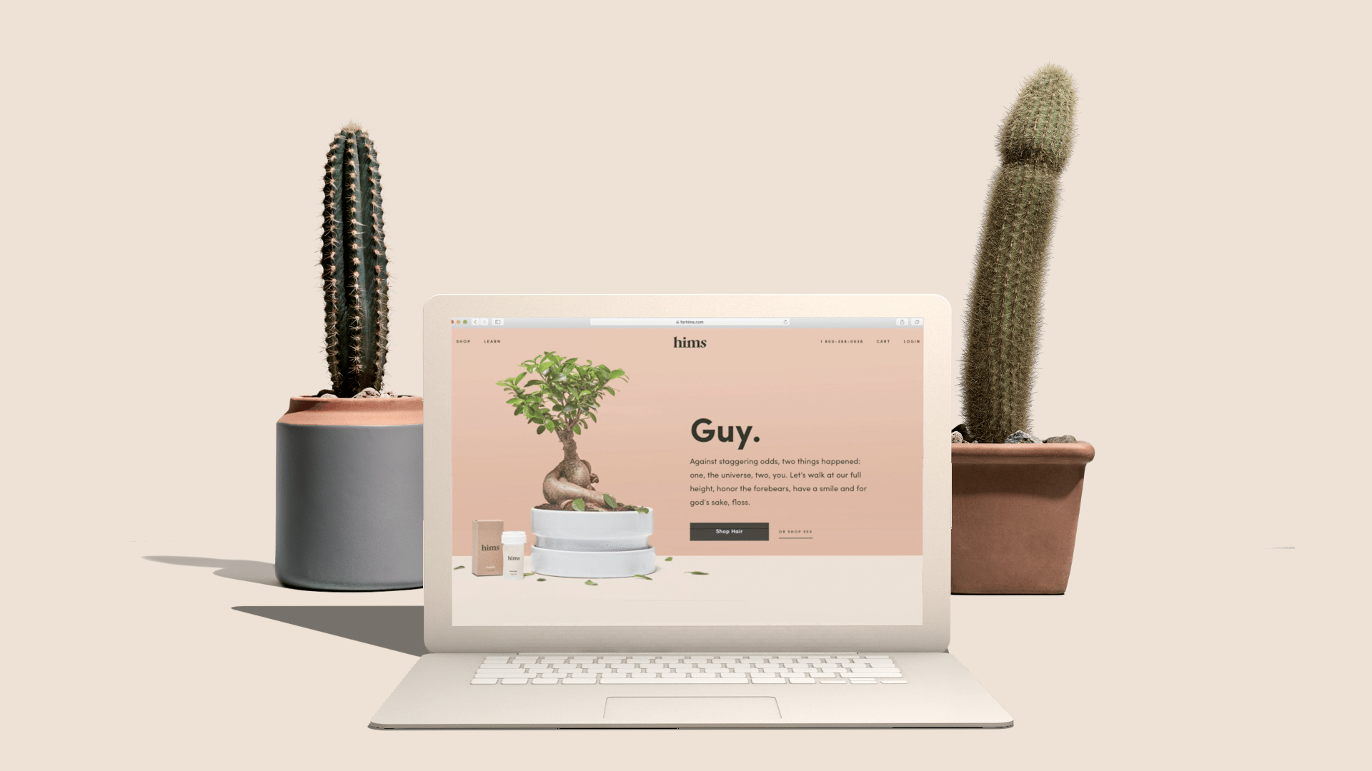 Hims_TVC_Laptop_Intro_01 (0-00-01-03).png