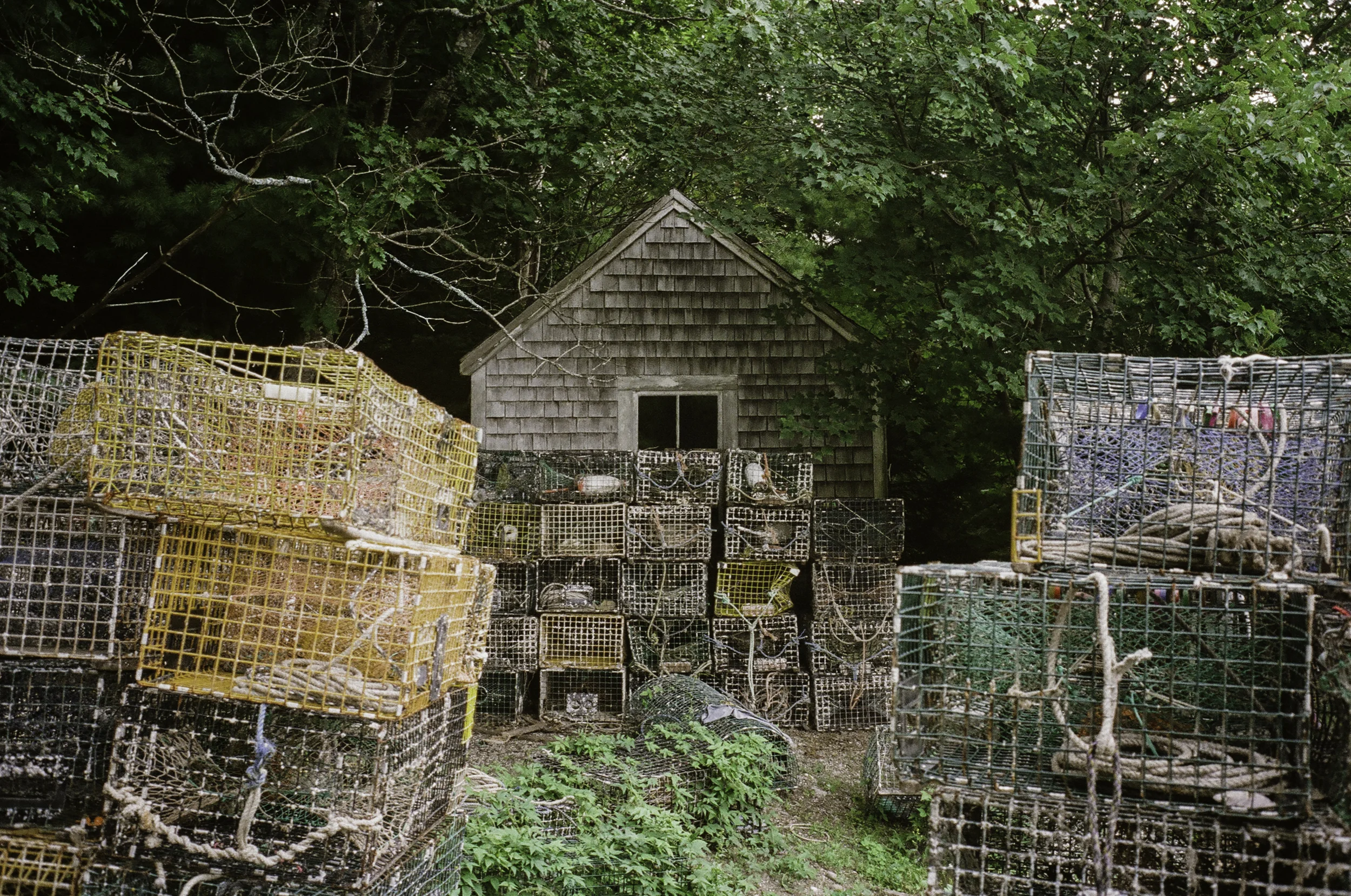 the shack, Bremen
