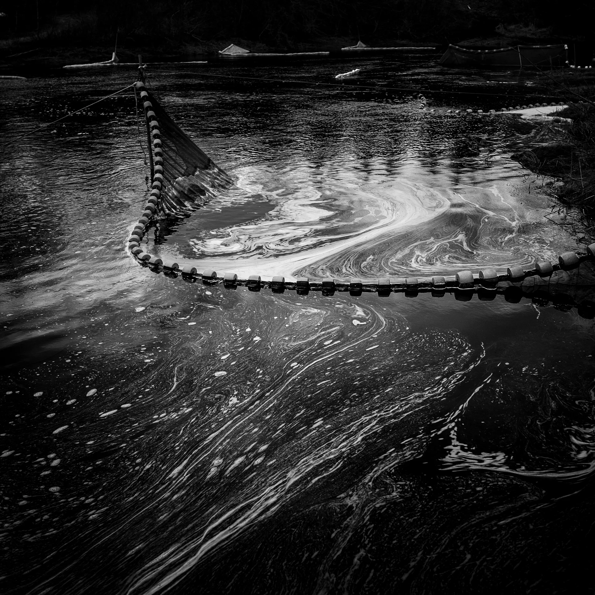 Spring Tide-1-14-Edittonal.jpg