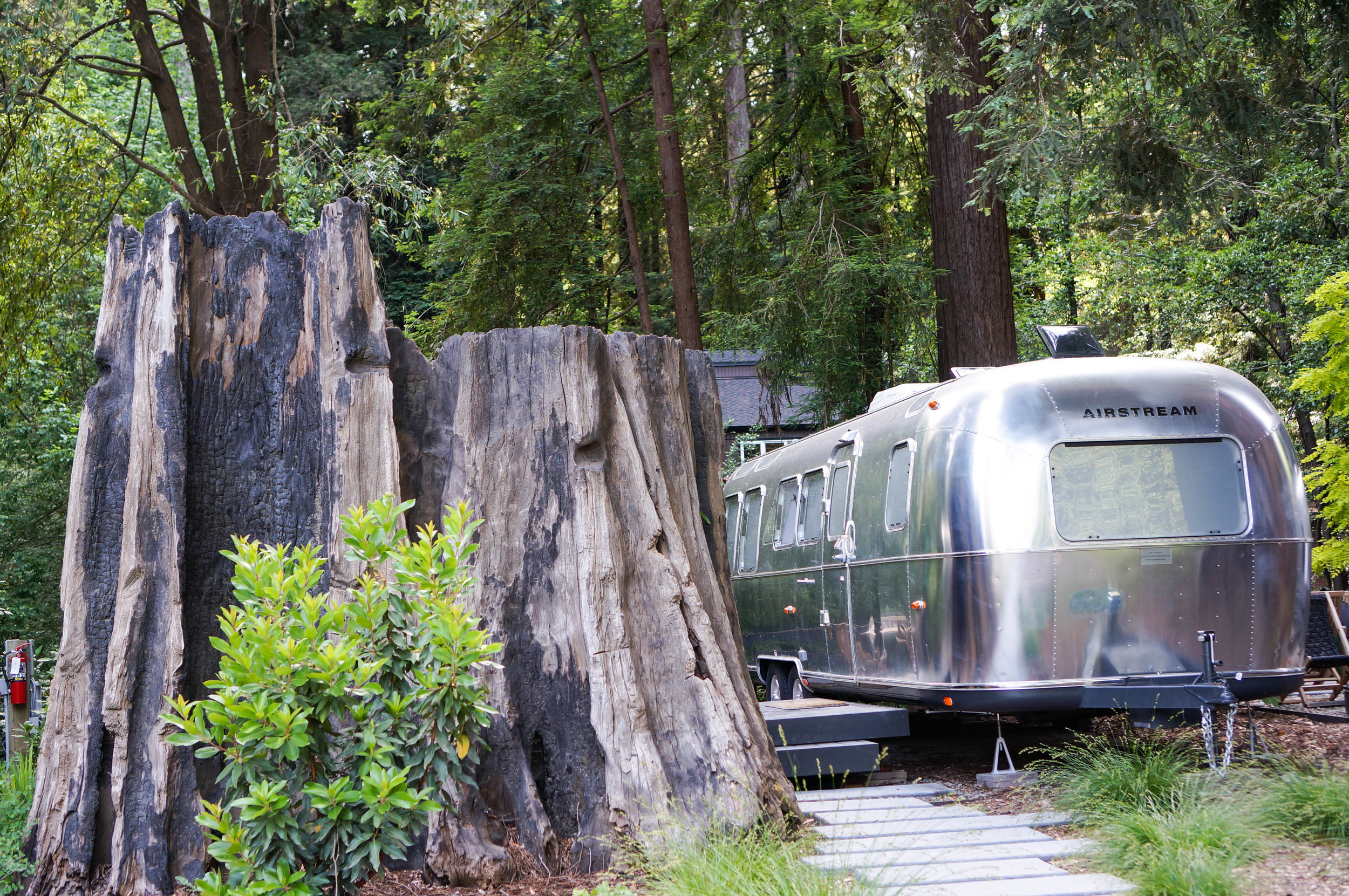 Autocamp Russian River is located at 14120 Old Cazadero Road in Guerneville, CA.