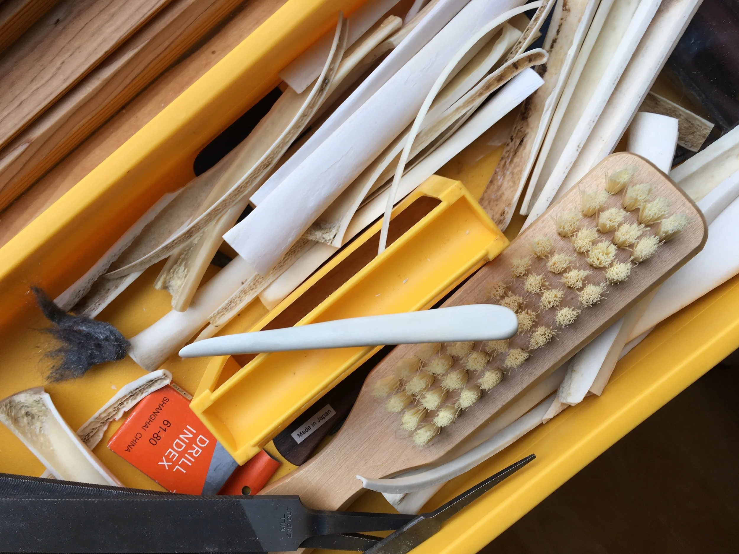 the tools, the bones, and my almost finished folder