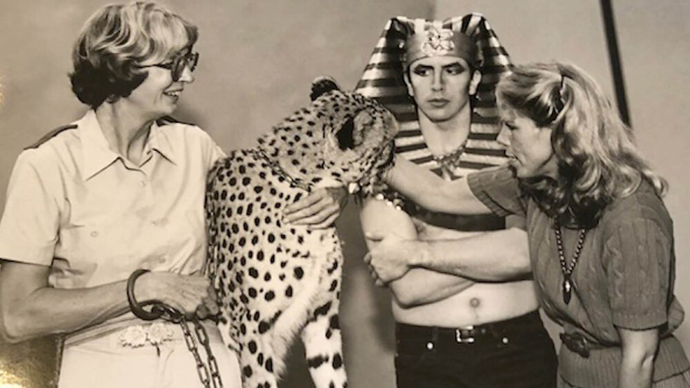  Patty Beggs meets Cincinnati Zoo’s Angel the cheetah on a photo shoot to promote Cincinnati Opera’s 1985 production of  Aida . 