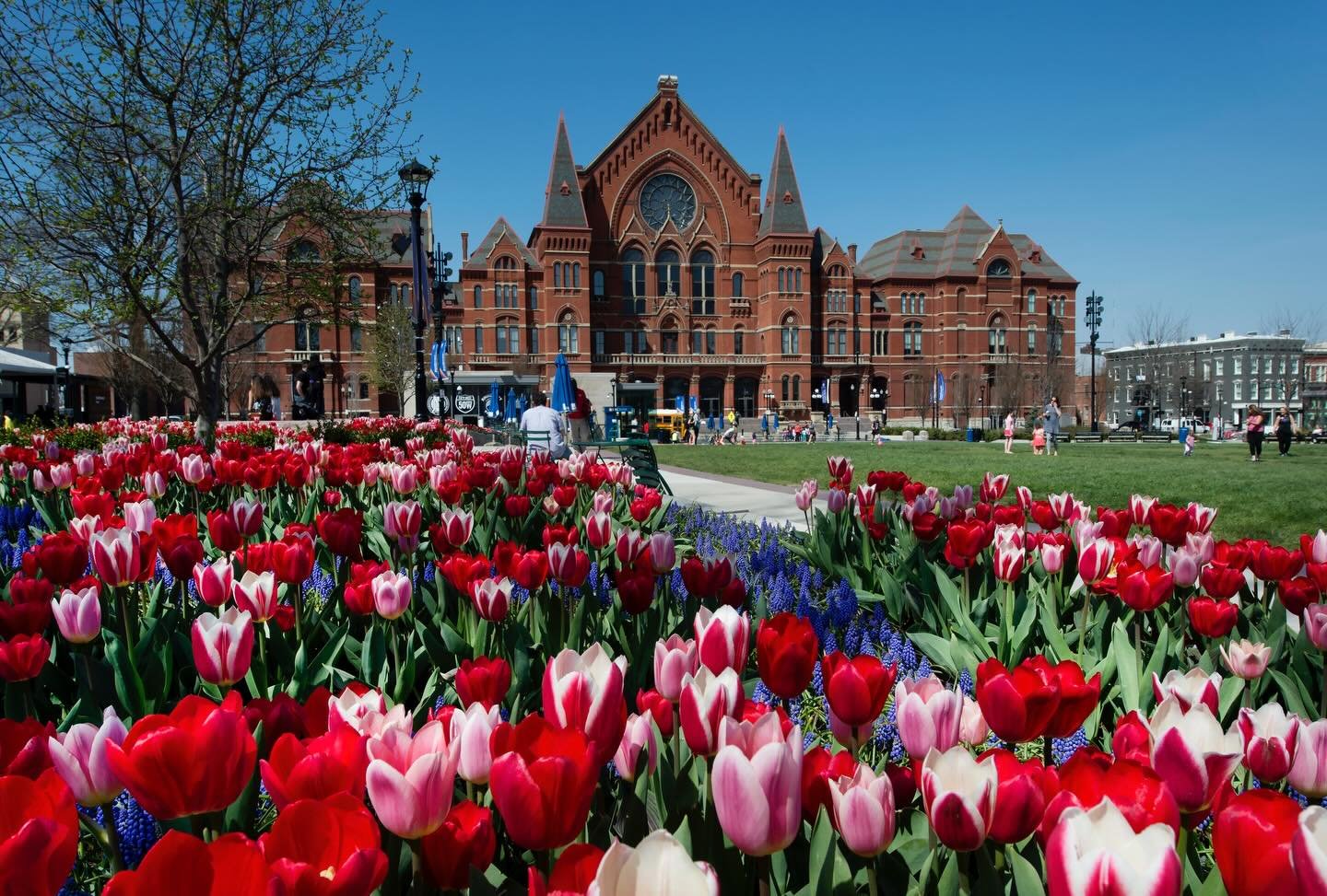 Six more weeks of winter? If you don&rsquo;t like Punxsutawney Phil&rsquo;s prediction today, know that opera can transport you to any season, any place, all in one evening, right inside Music Hall.

#groundhogday #meetopera #cincinnatiopera #musicha