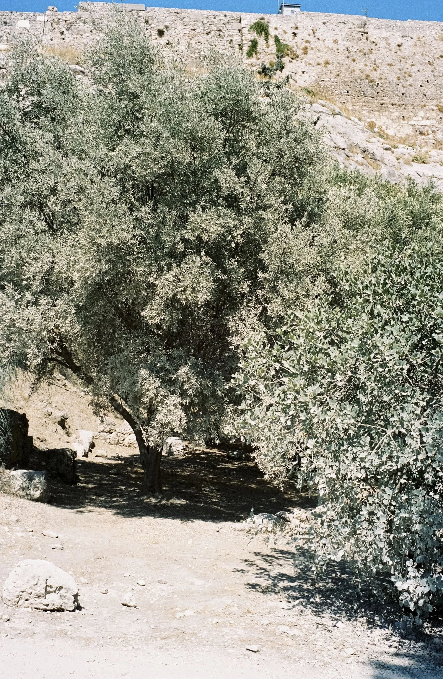 DRF057_1909_26.jpeg