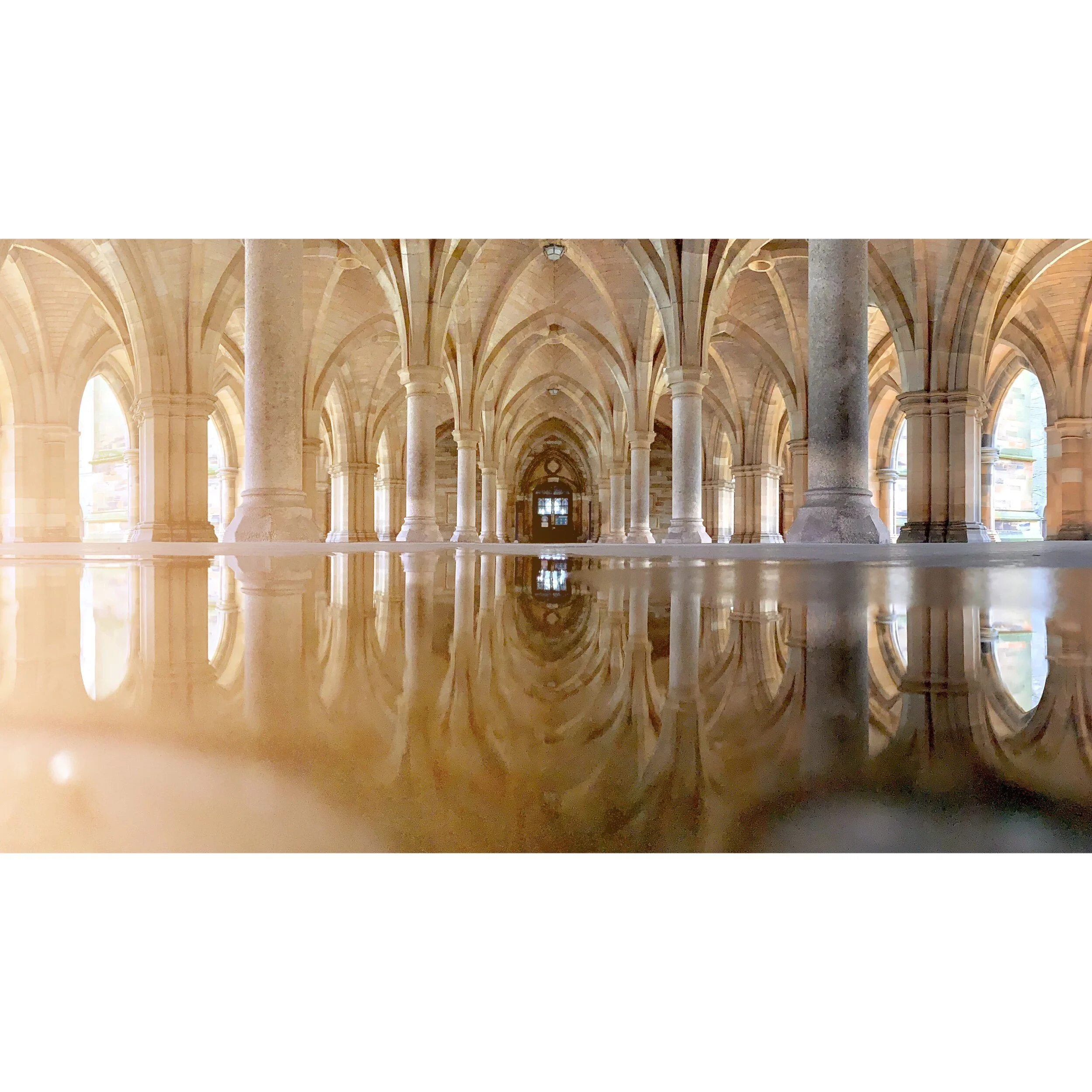 7E31A4D4-96C9-400C-B97A-91E66F092338