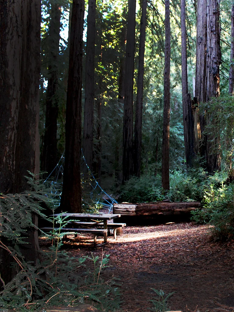 big sur, california.