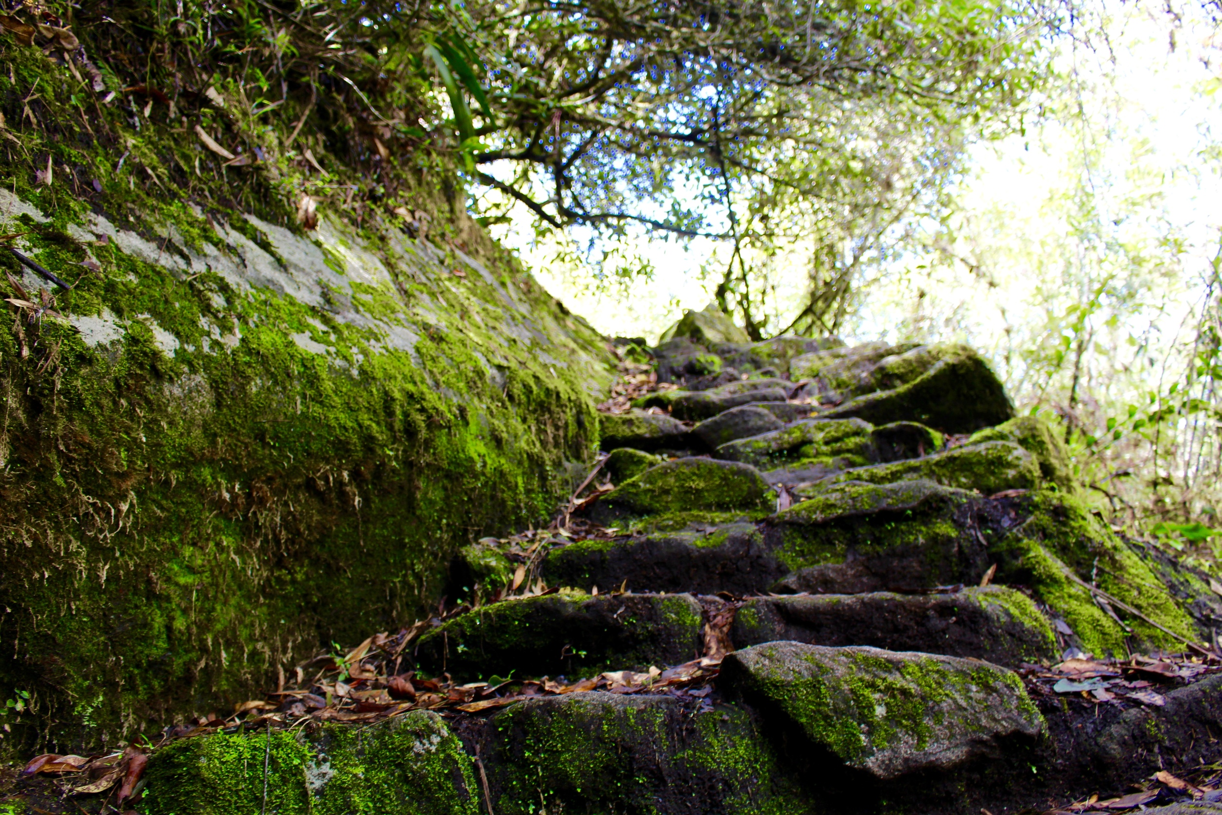 never ending trail. huayna picchu, peru.