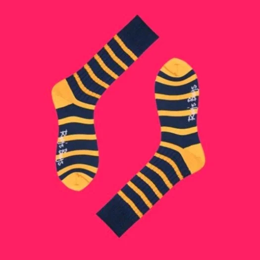 Roy's Boys 'DARWIN' Varsity Socks