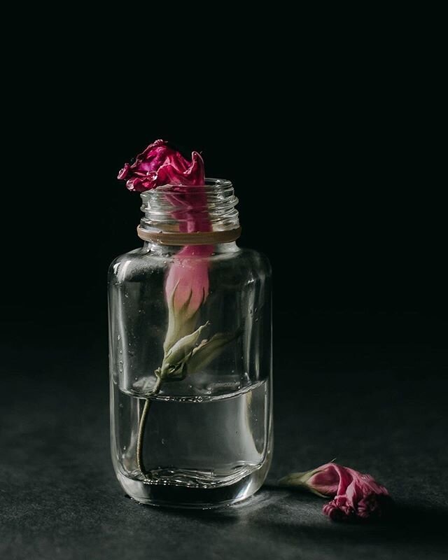&ldquo;may the flowers remind us,
why the rain was so necessary.&rdquo; 🌱 &bull;
&bull;
&bull;
&bull;
&bull;
#isolationcreation #floralphotography #floralstyling #stilllifephotography #flower #spring #artinbloom #floralshots #createdaily #fairytale 