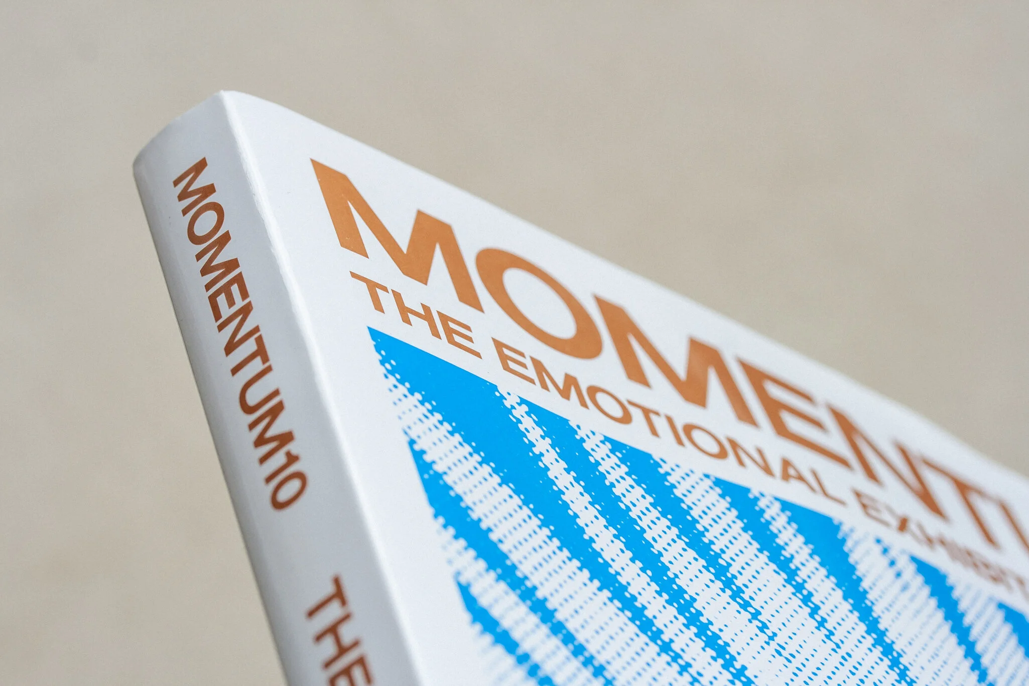 momentum_viewer_2050-5.jpg