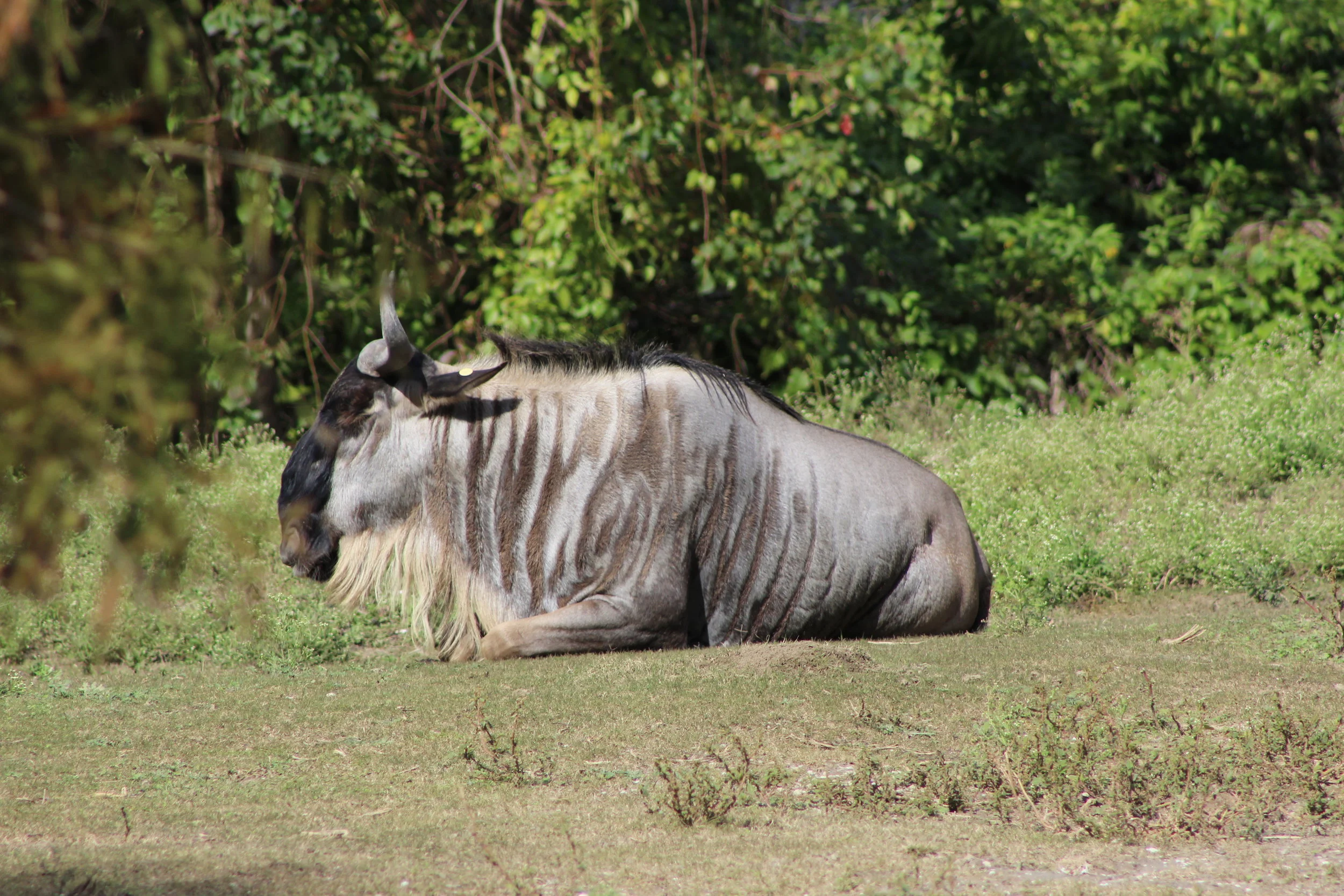 IMG_3397.JPG