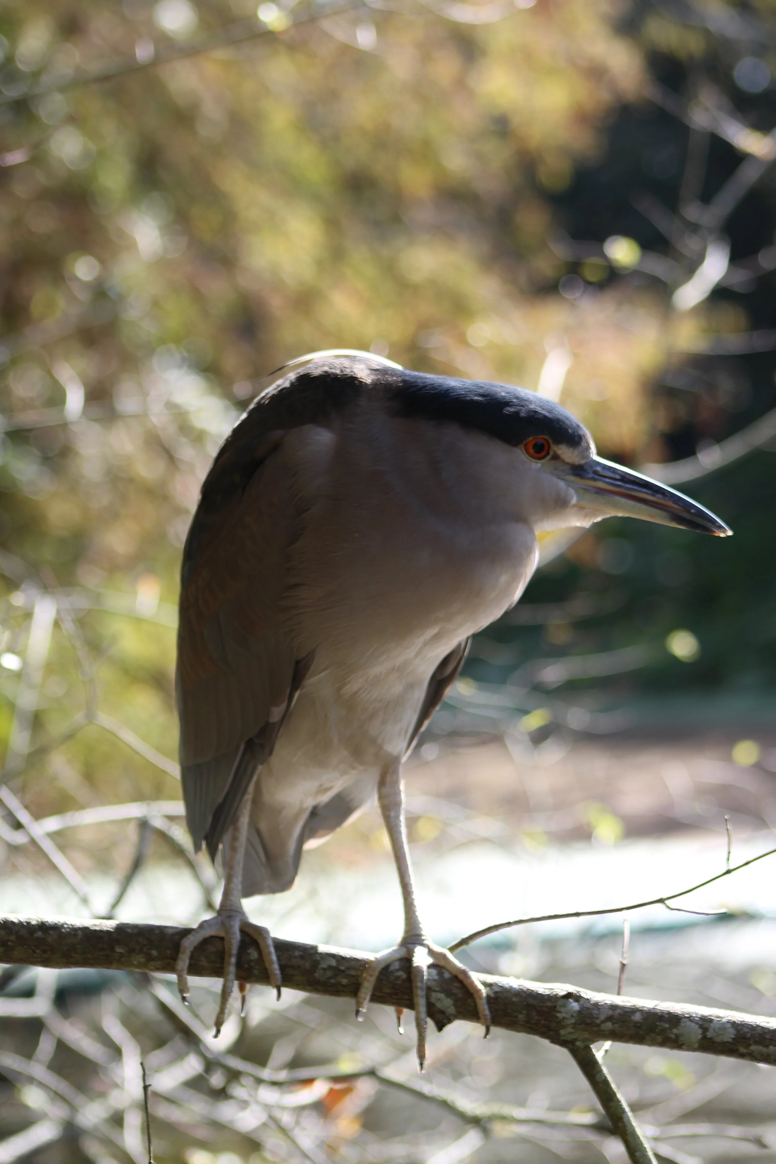 IMG_3514.JPG