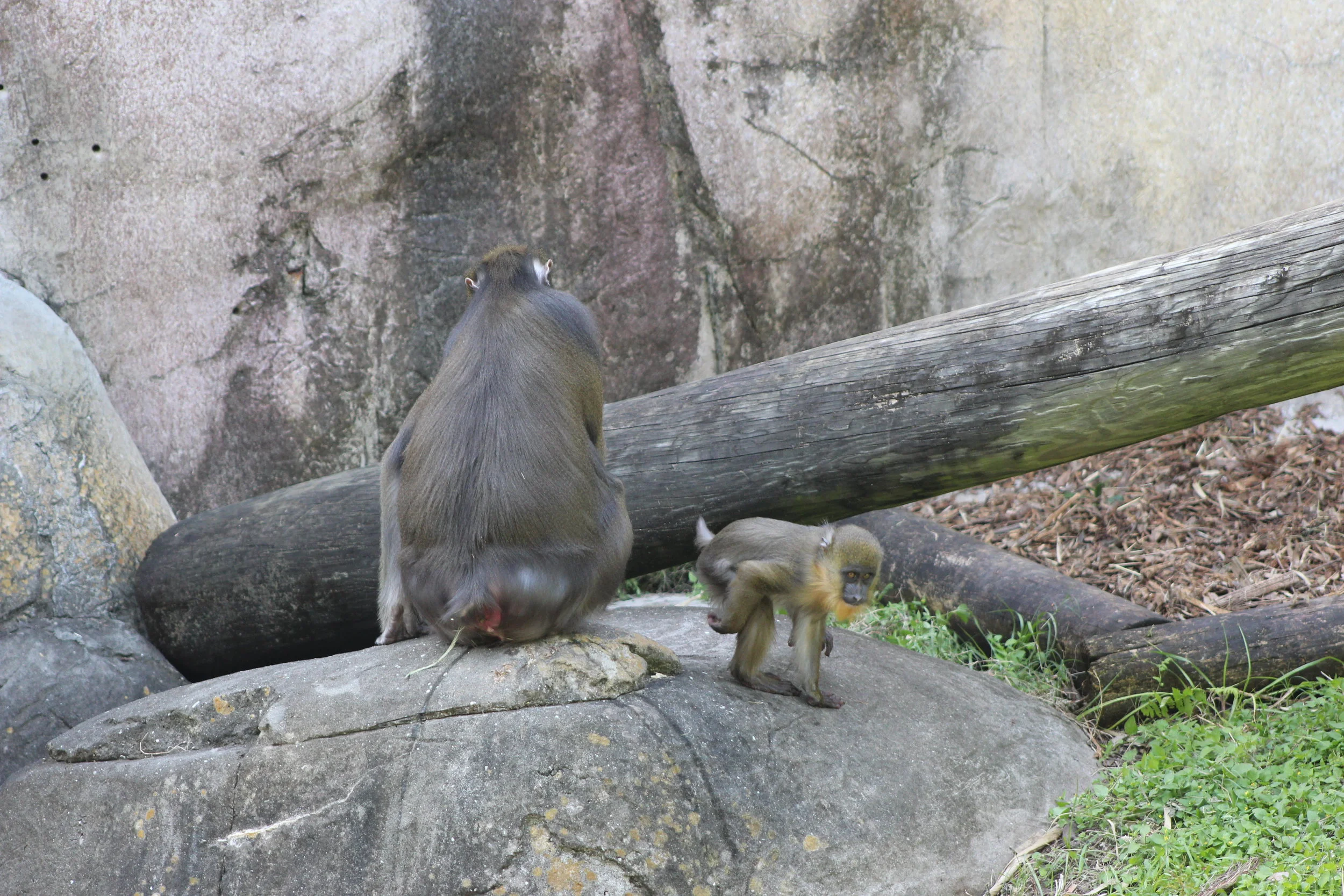 IMG_3610.JPG