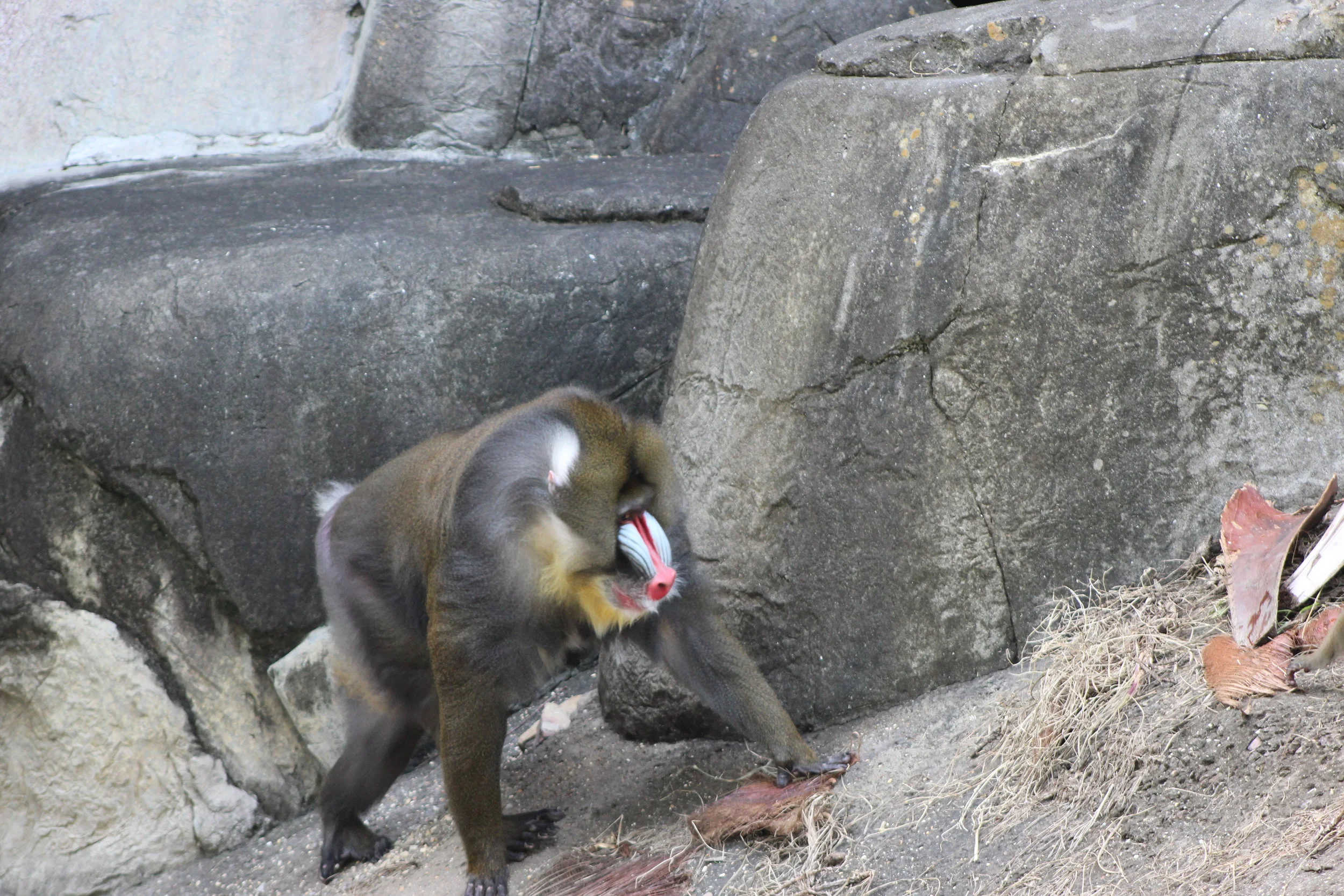 IMG_3615.JPG