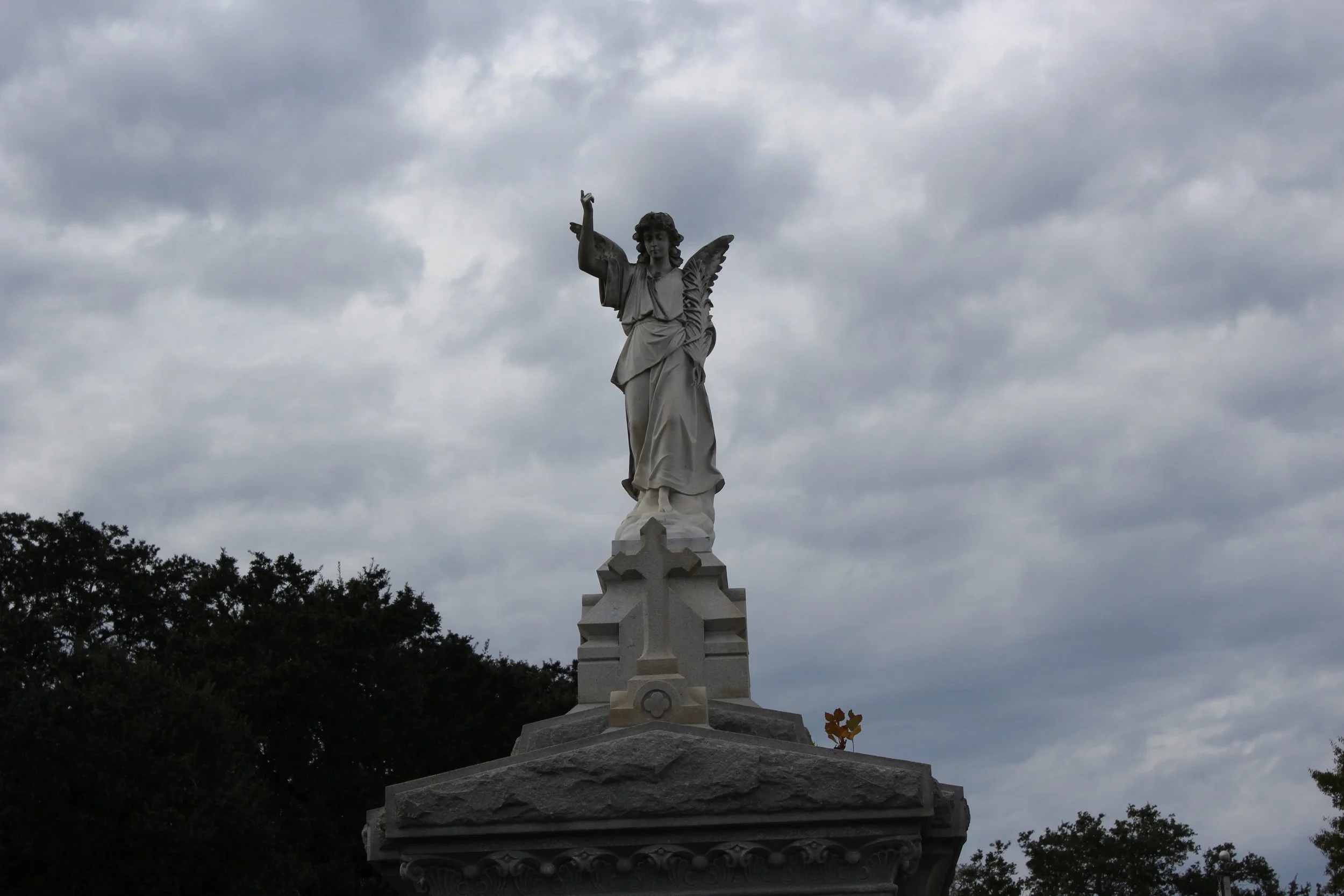 IMG_3231.JPG