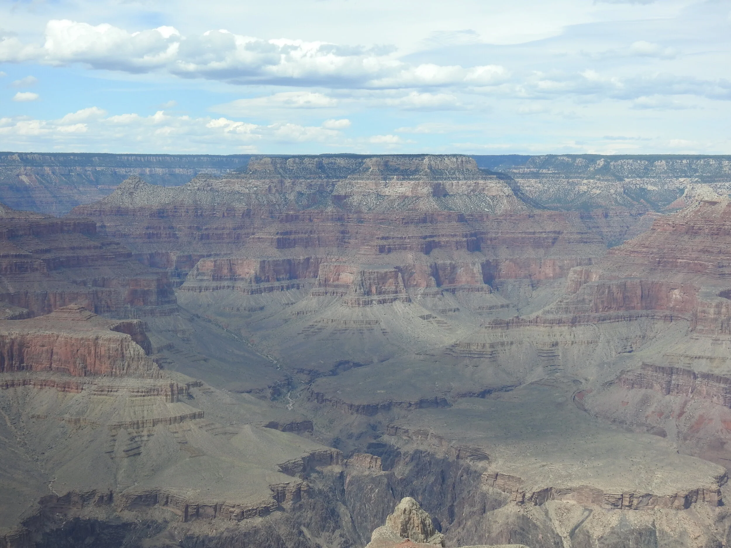 DSCN0973.JPG