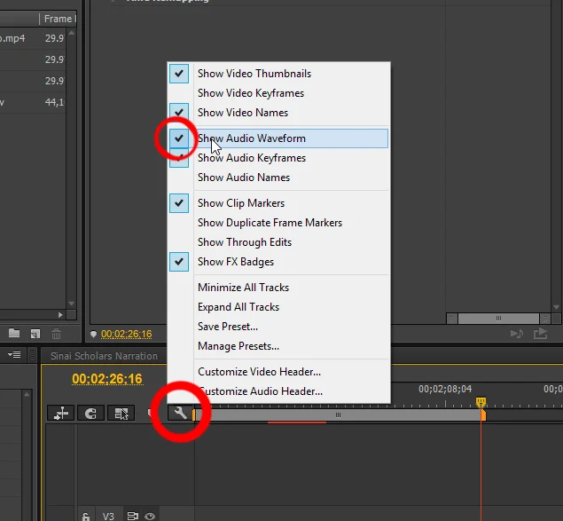 showwaveforms.jpg