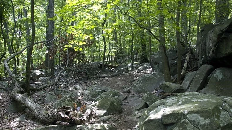 A Note from a Newbie: Mindful Motion’s Instant Impact