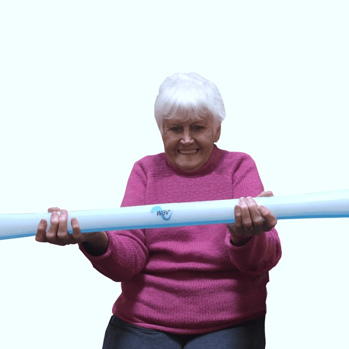 WAV Sensorimotor Trainer — Chair Exercises for Older Adults: Keep Moving  While You Sit