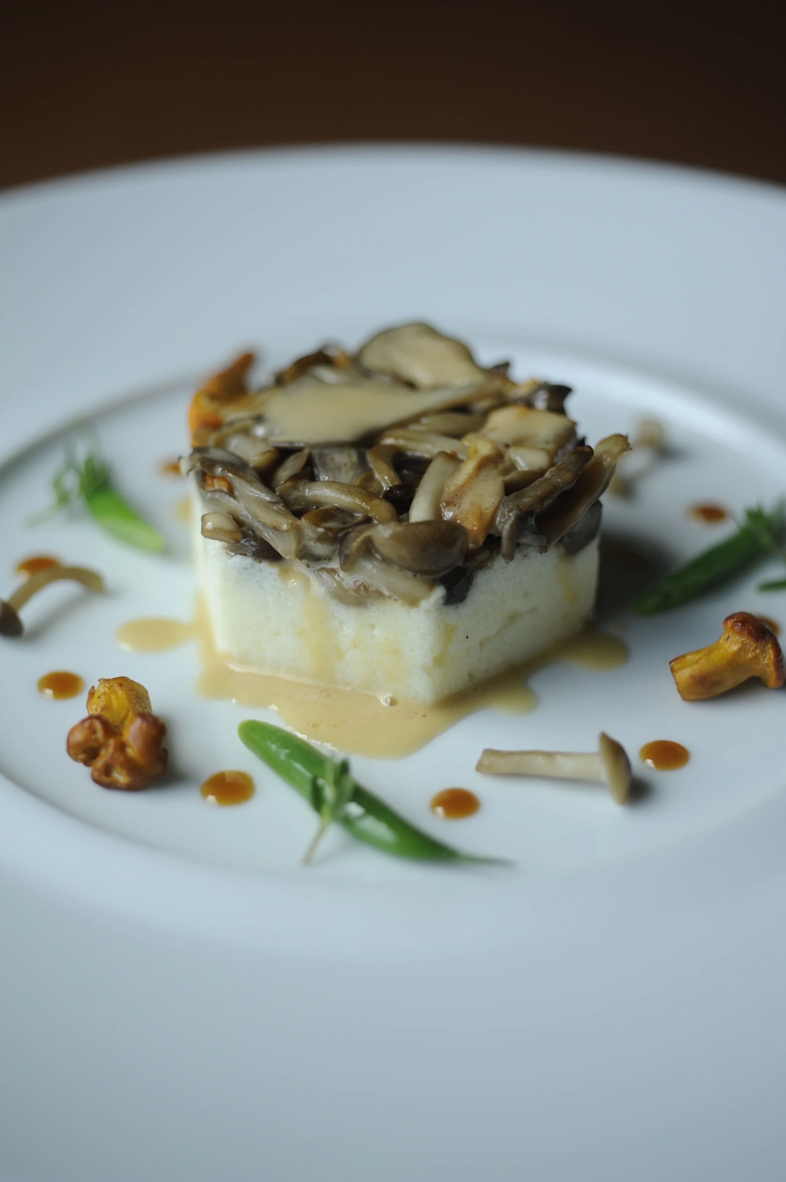 _DSC5910 Daniel Bruce.JPG