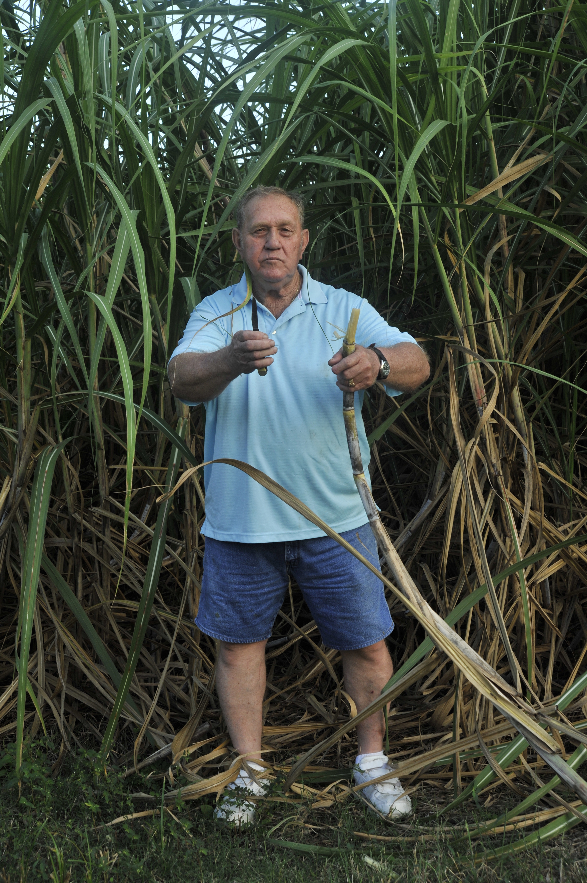 _DSC0139 Anthony Miletello and sugar cane.JPG