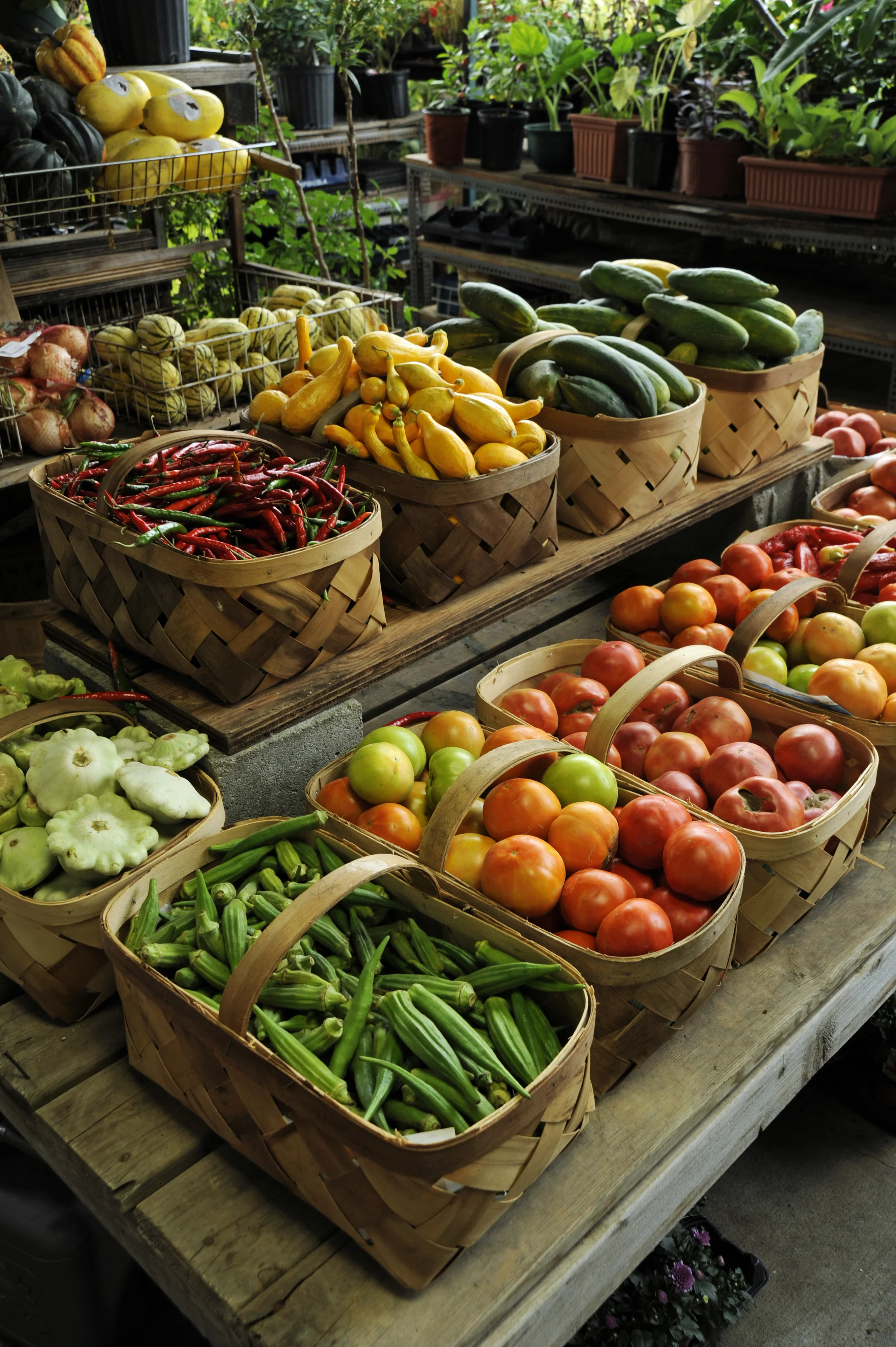 _DSC4269 Nashville Farmers Market copy.jpg