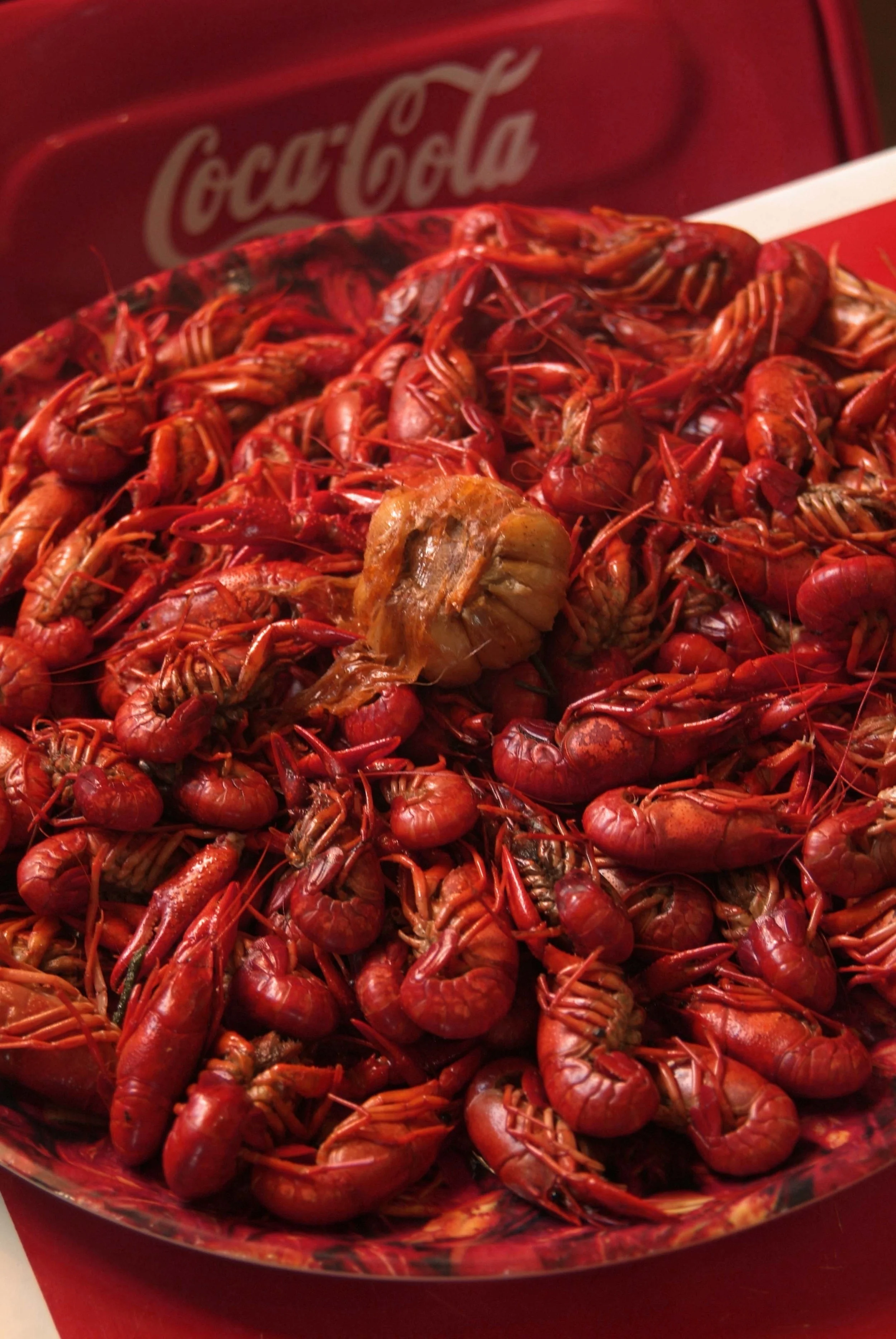 _DSF0012 Louisiana crawfish copy.jpg