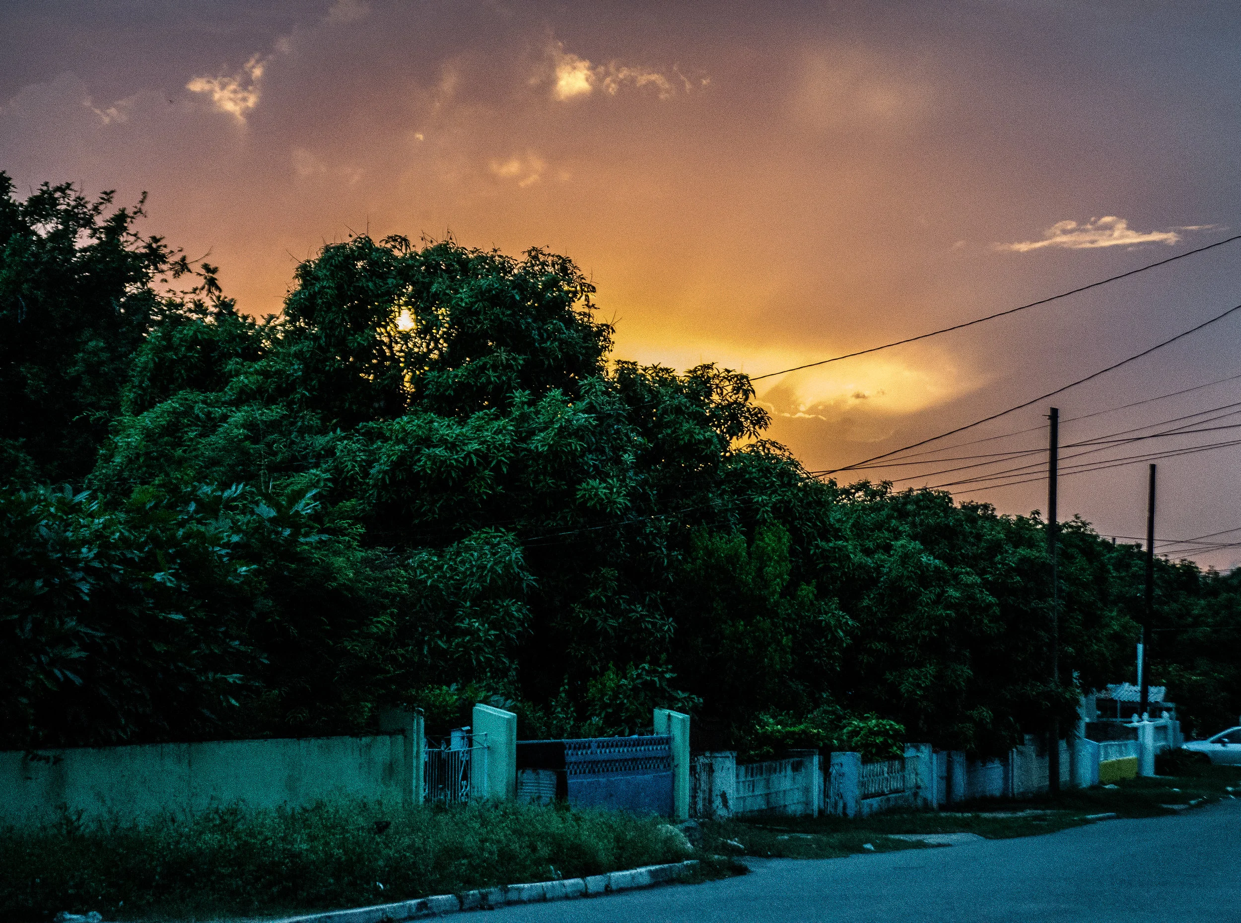 _DSC0807.jpg