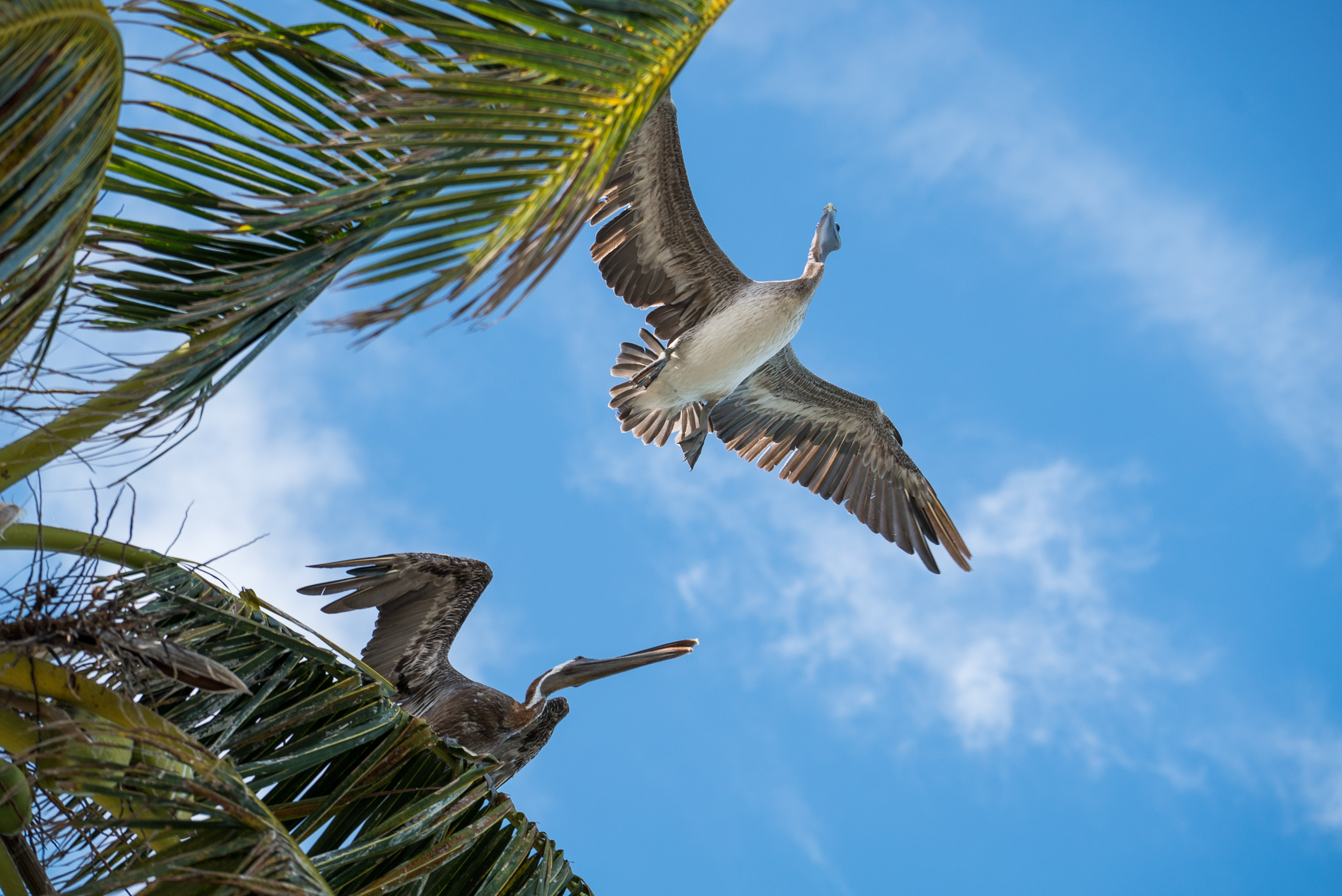 website-00476-2.jpg