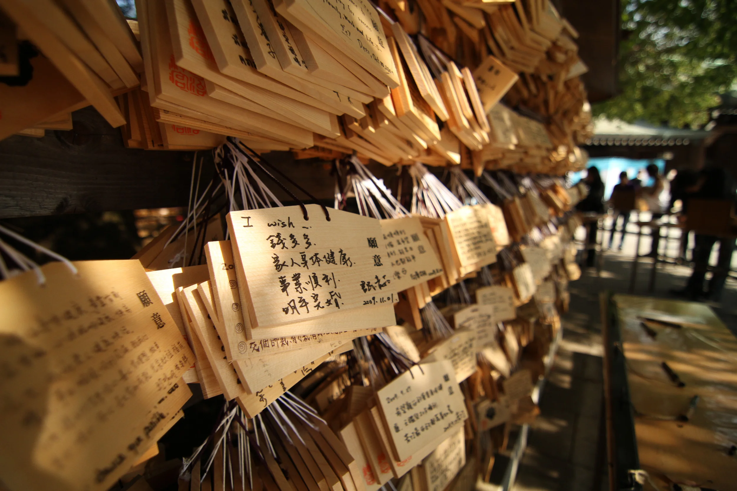 website-2836.jpg