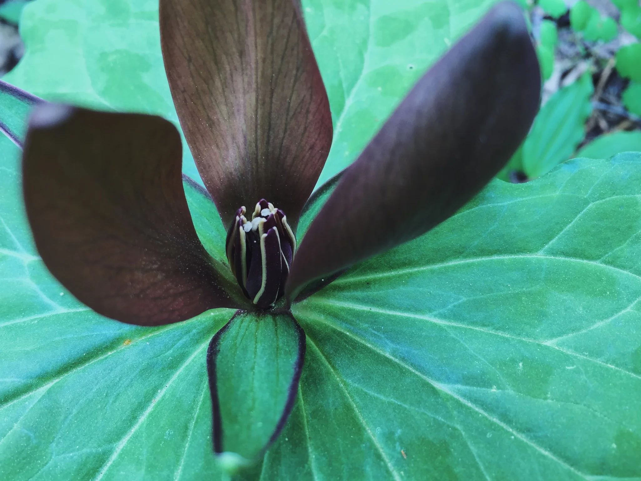 you're just like your mother