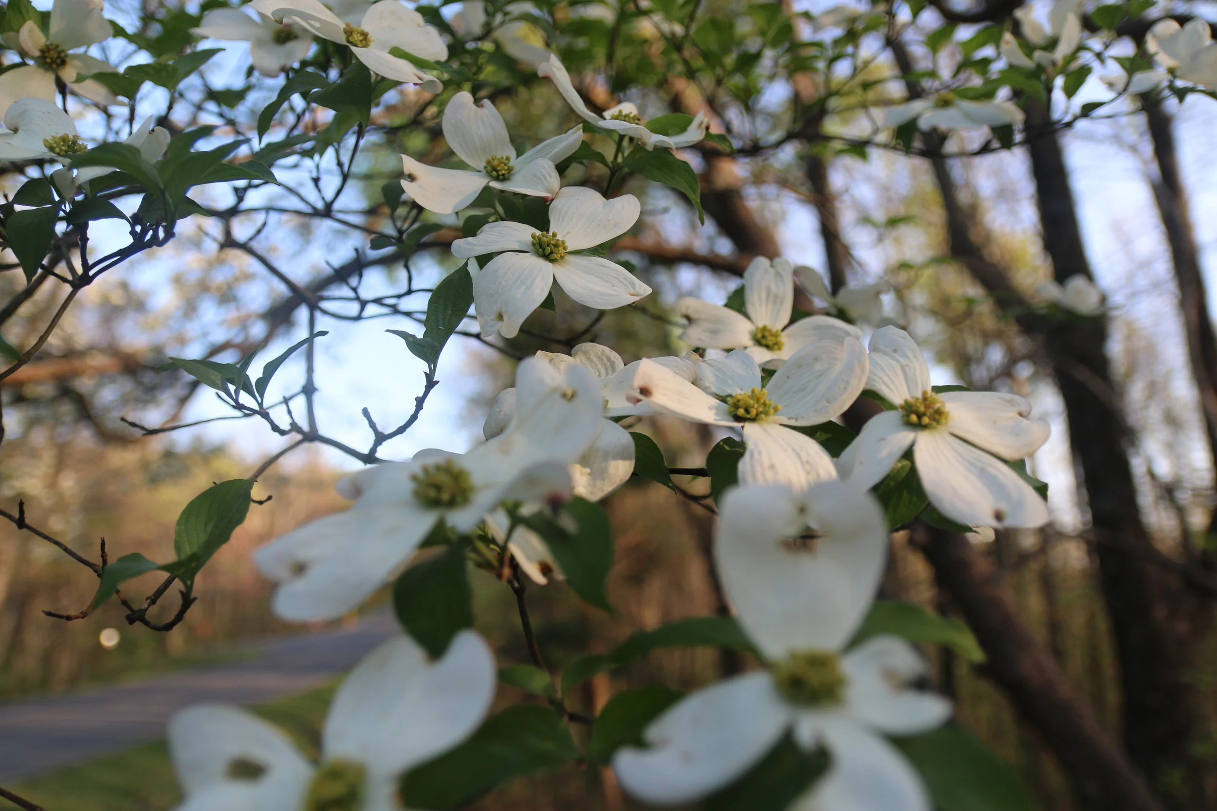 life can be ugly: the story of my miscarriage