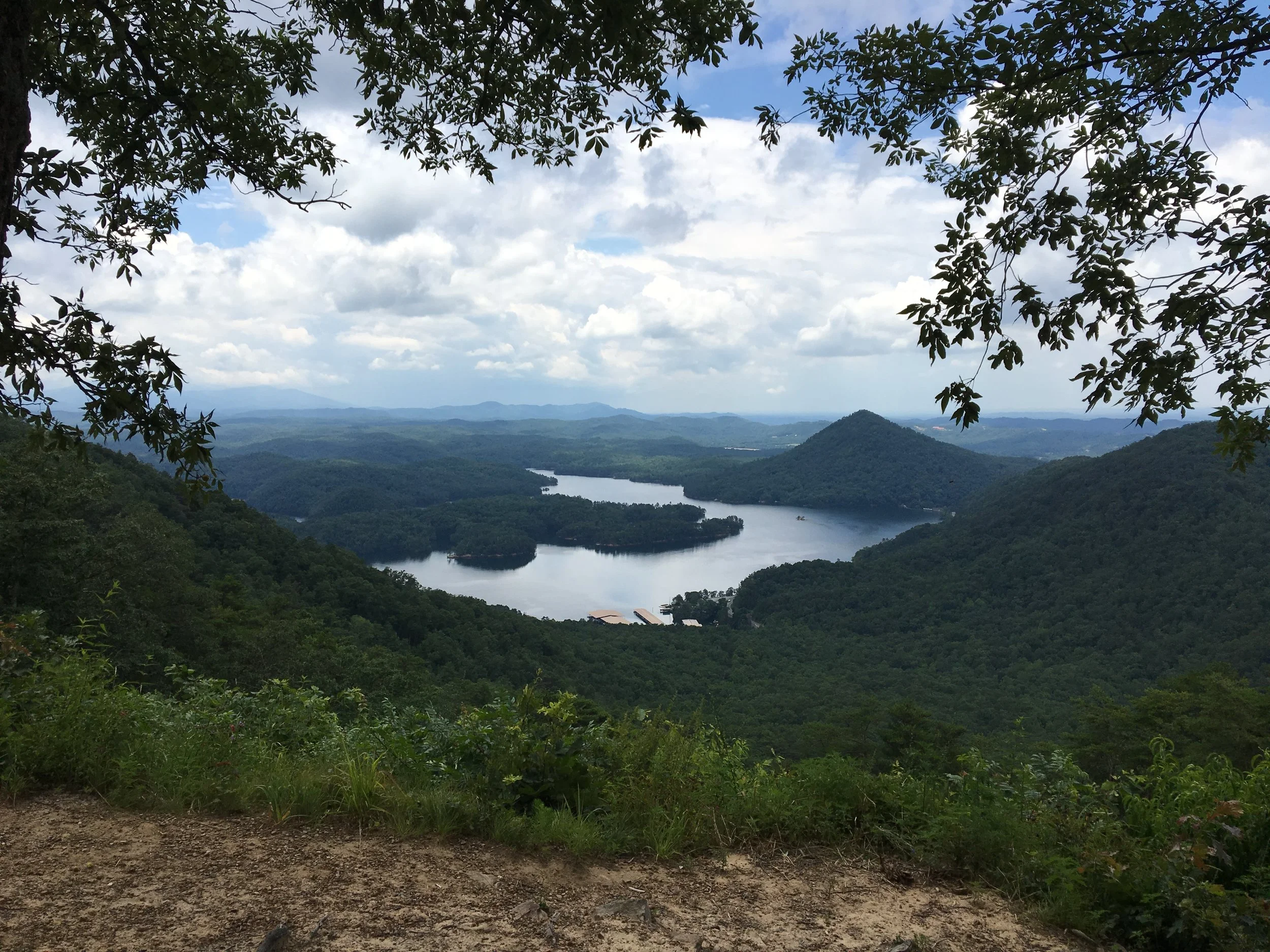 healthy living: water filtration