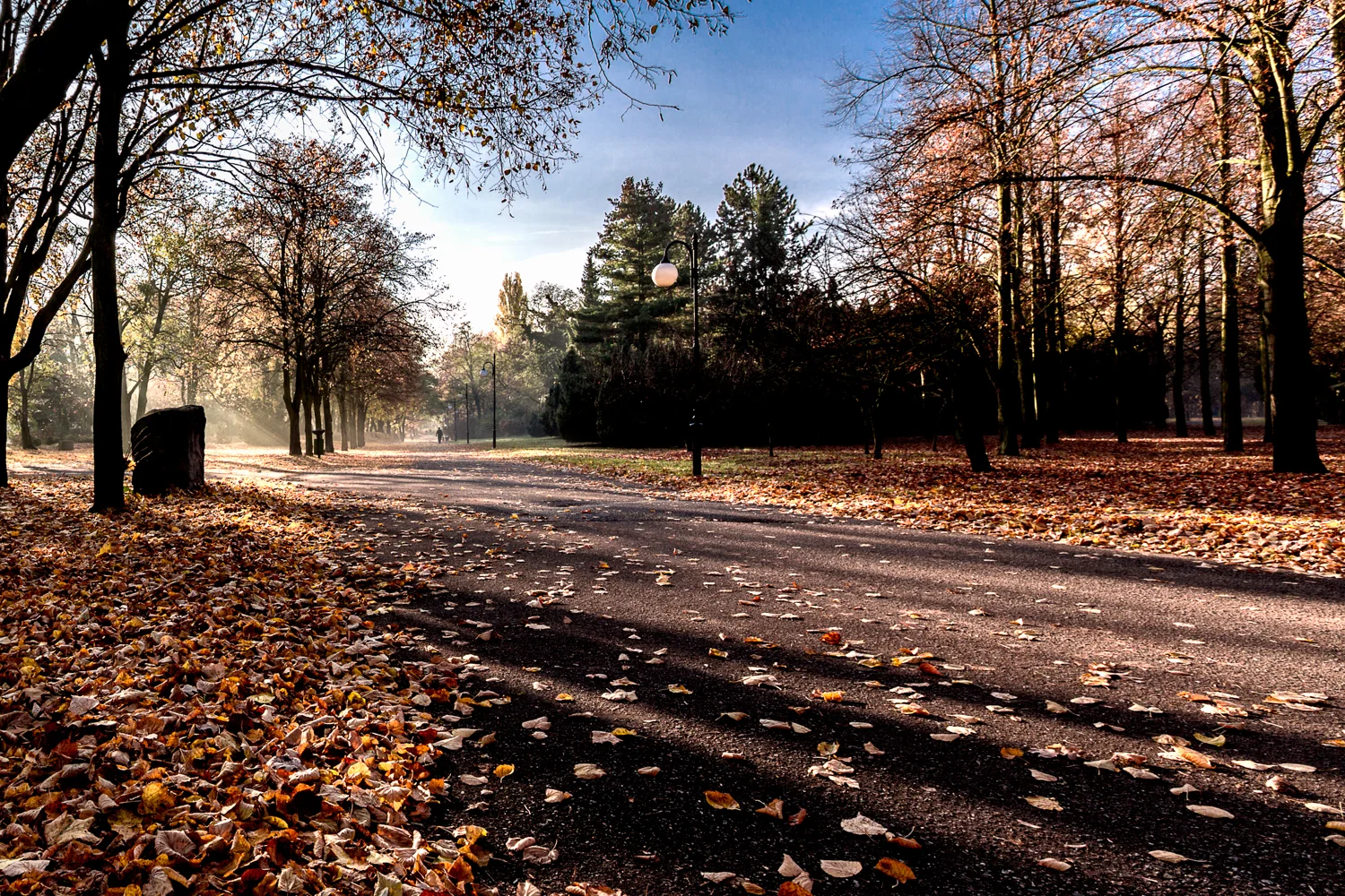 Landscape-3.jpg