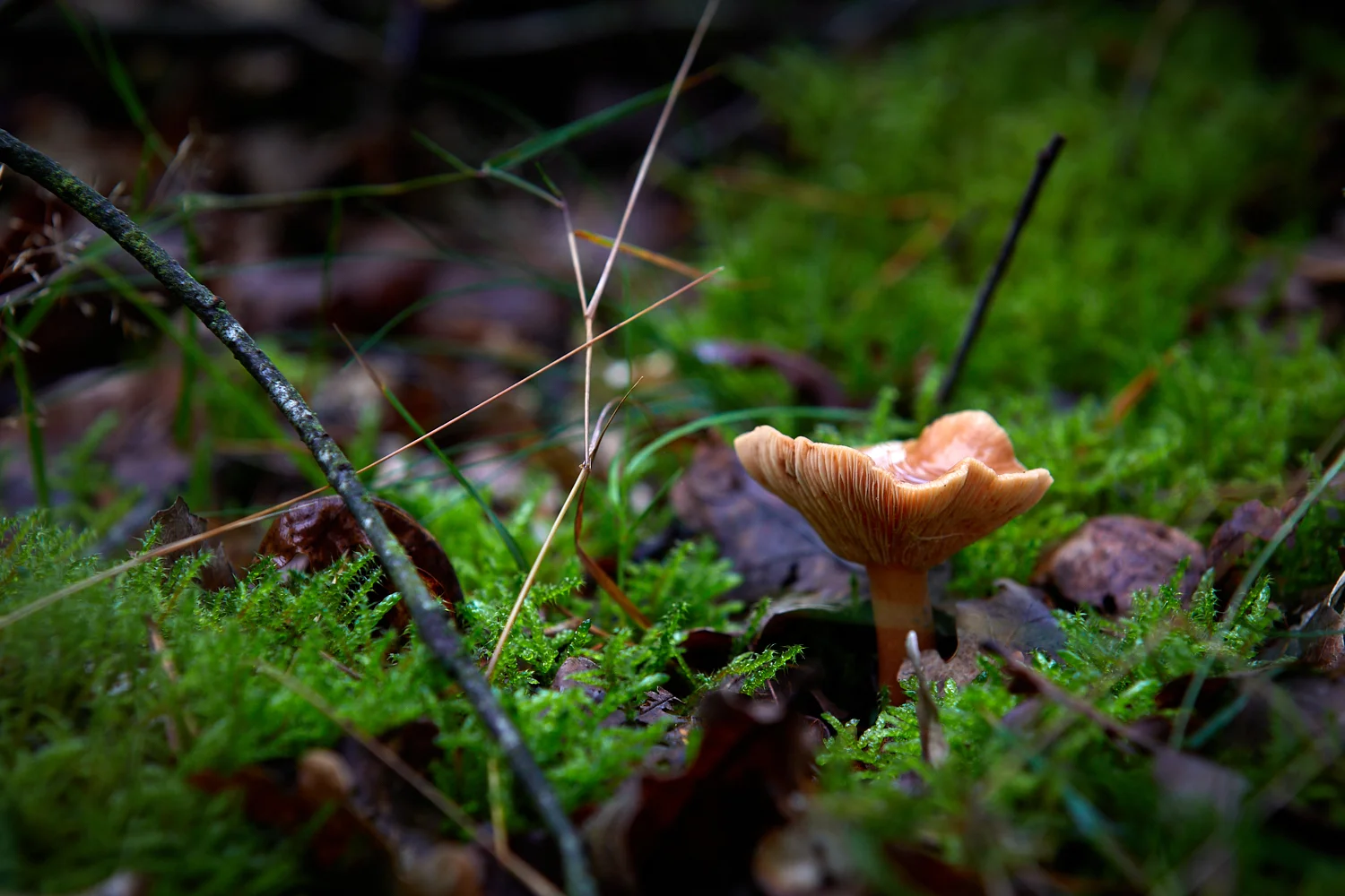 2019-09-28 - 15-21-04 - _B5A7096.jpg