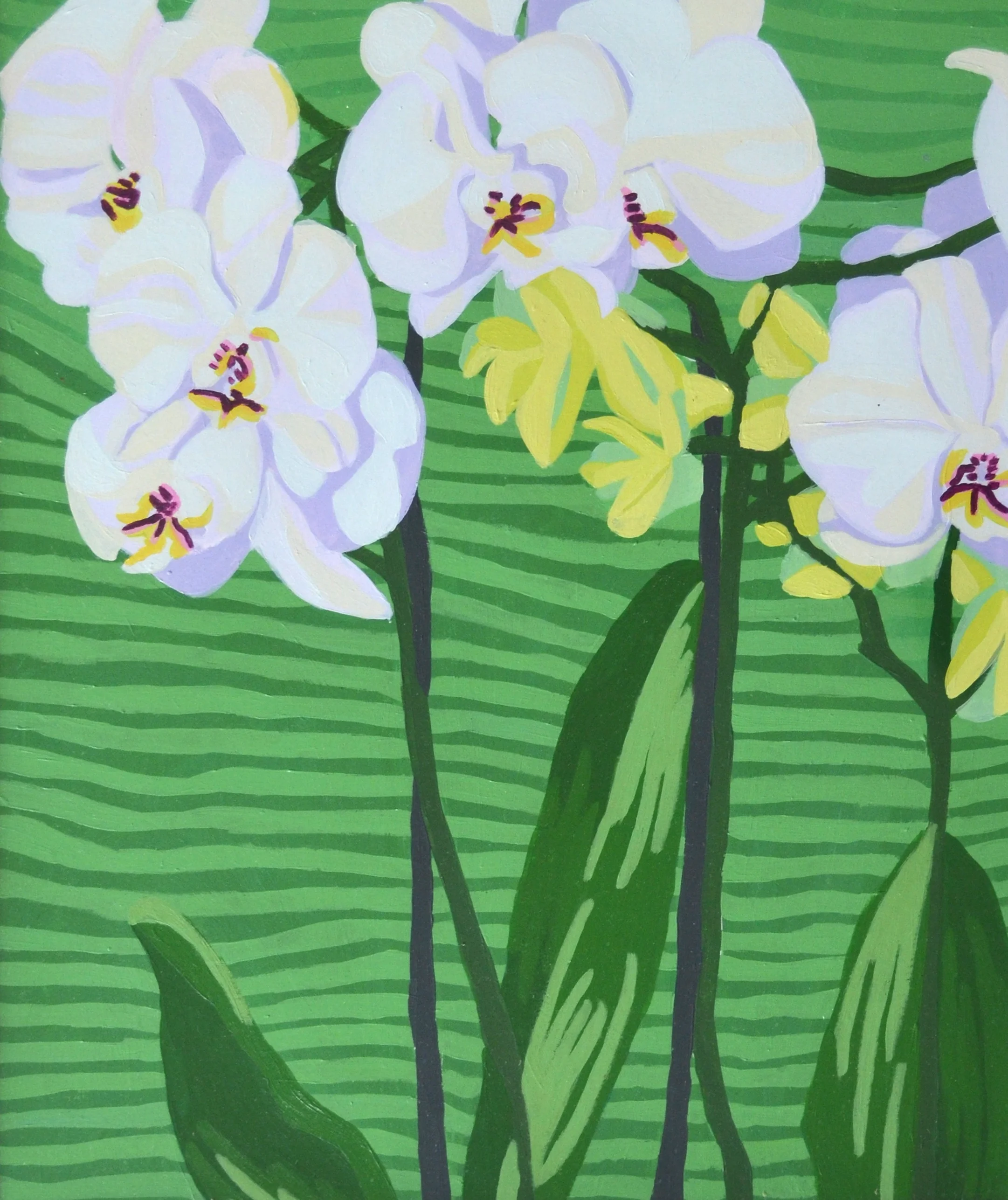 whiteorchids.jpg