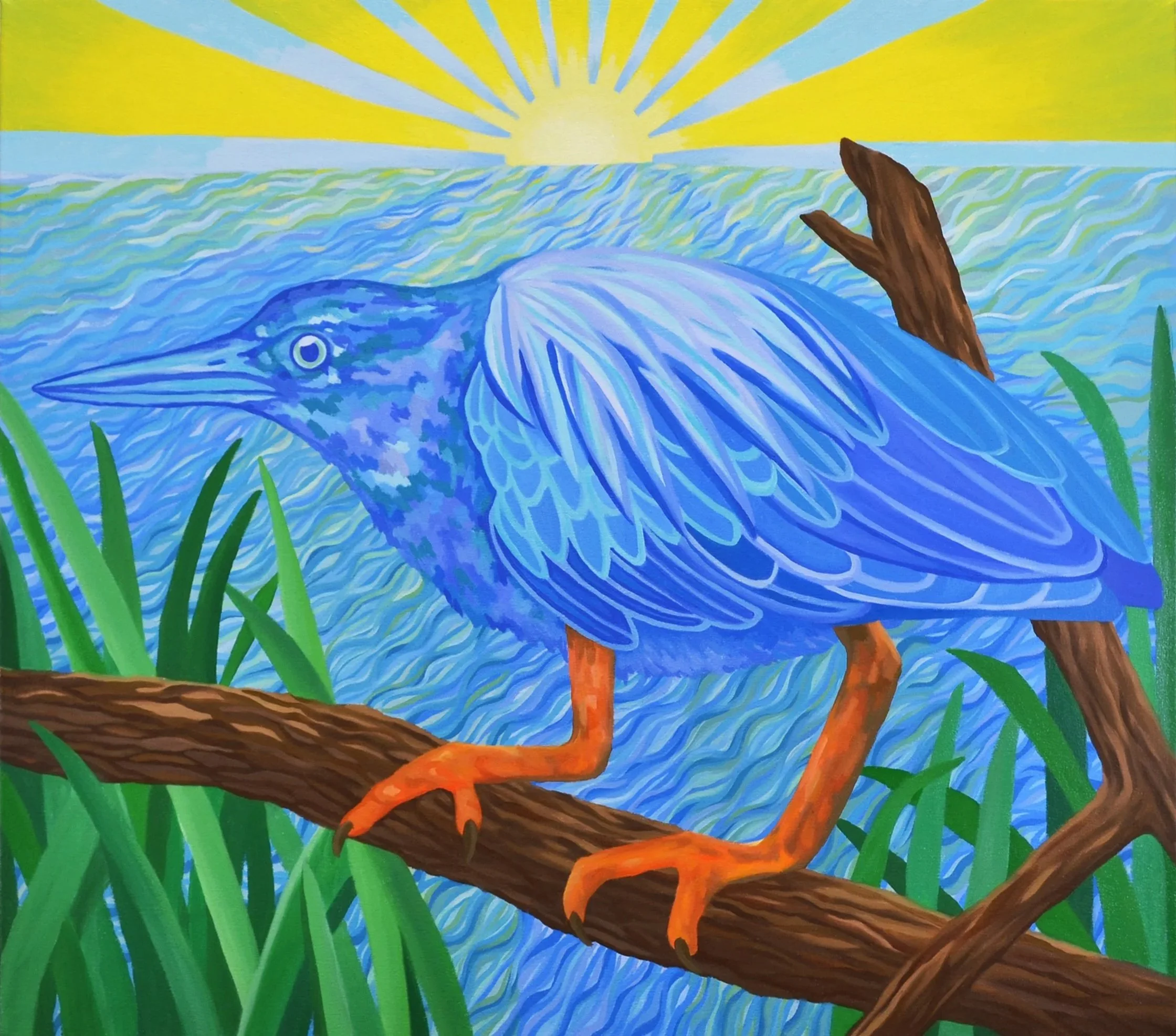 The Neverbird (Green Heron)