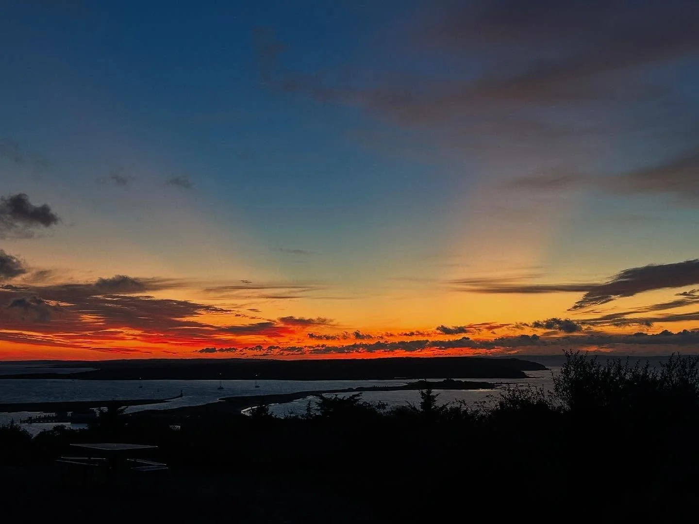 The magic of Cuttyhunk ⛴️🌖🌊🌌🦪🎏☁️🐡🐋🌅

I don&rsquo;t have the words to describe the magic of my experience @cuttyhunk_artists this September. Just a lot of gratitude that I was able to attend and share the experience of this place with these am