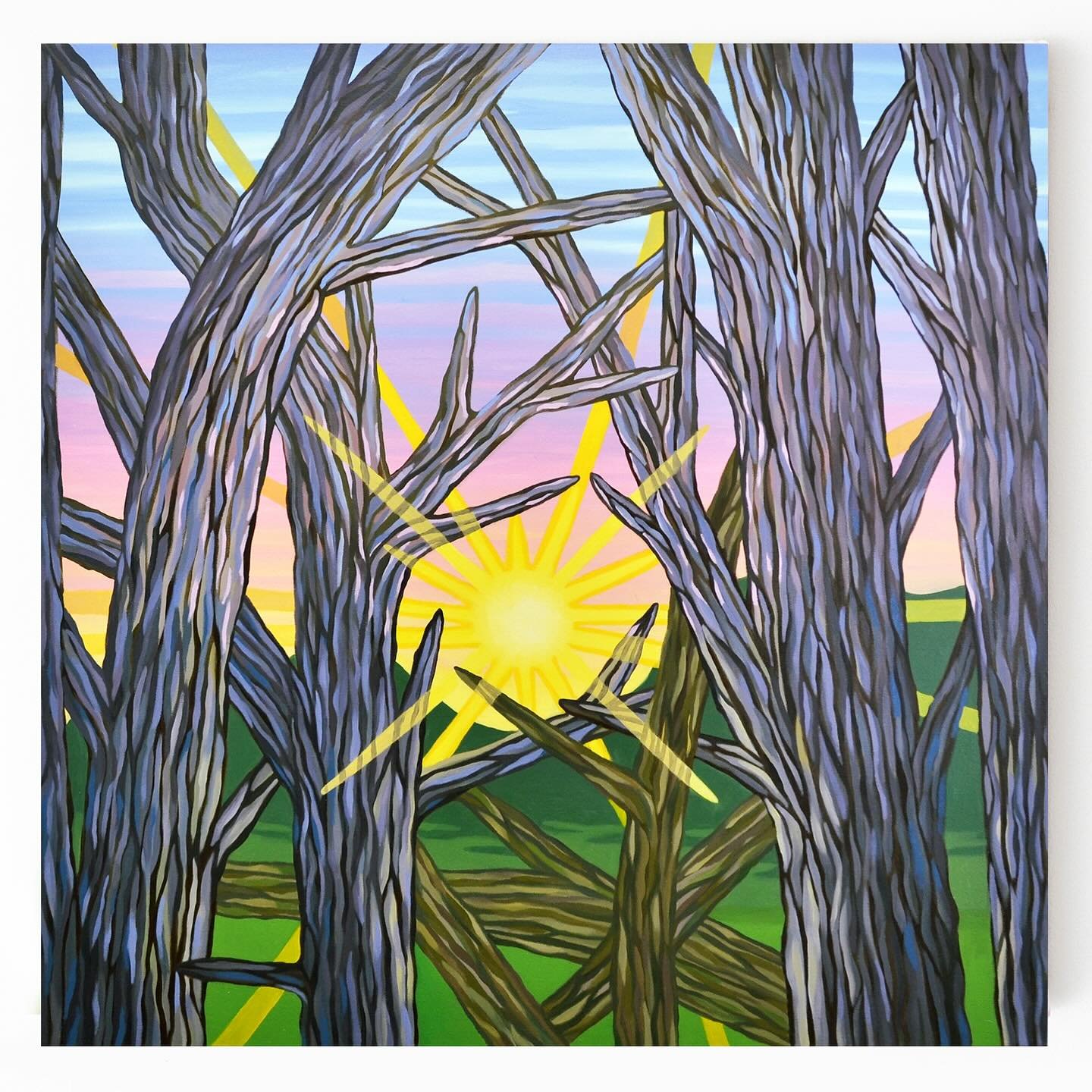 🌄🪾 Although this painting was started in the early days of spring, the dramatic sunsets following the fall back of daylight savings have reminded me of this painting. As someone who frequently paints the sunset, images of this transitional time sli