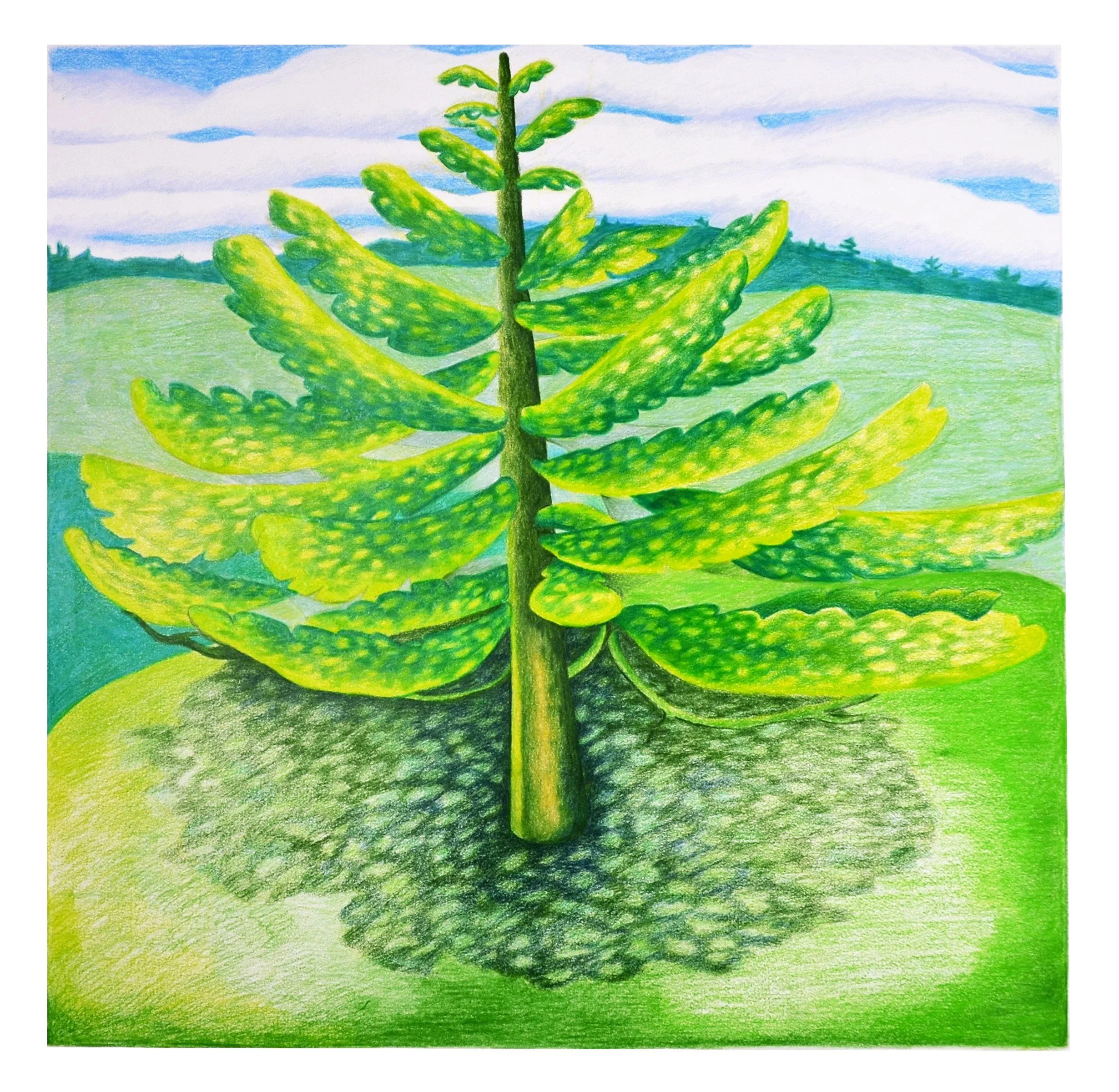 Bodhi Tree II (cropped).jpg