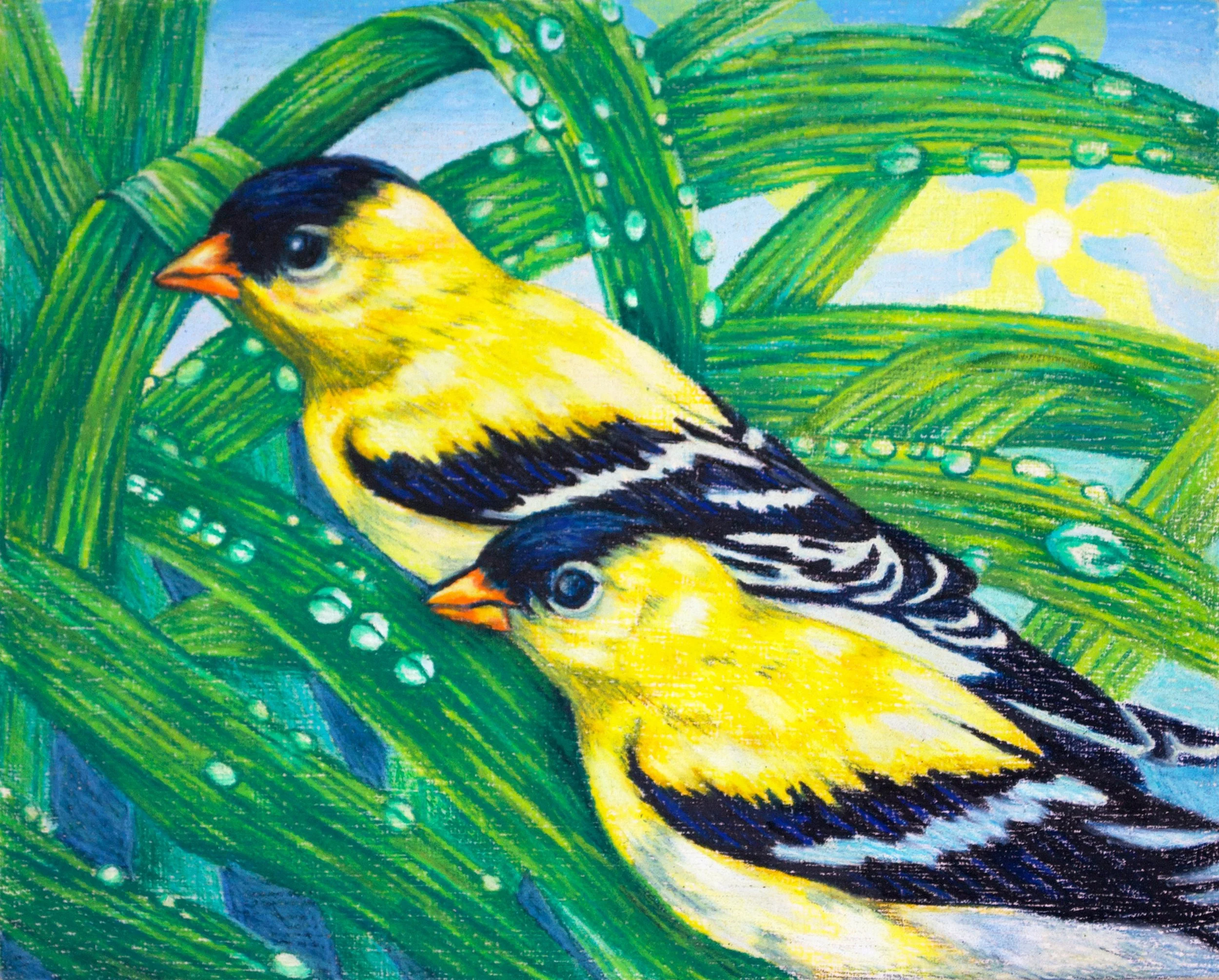 Double Goldfinch