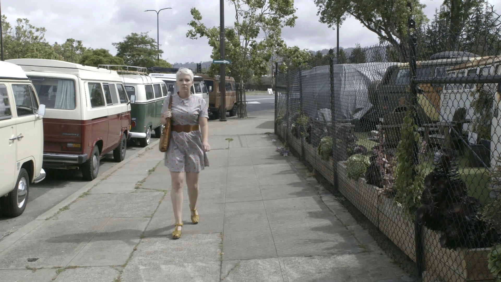 GeorgieWalksByVans.jpeg