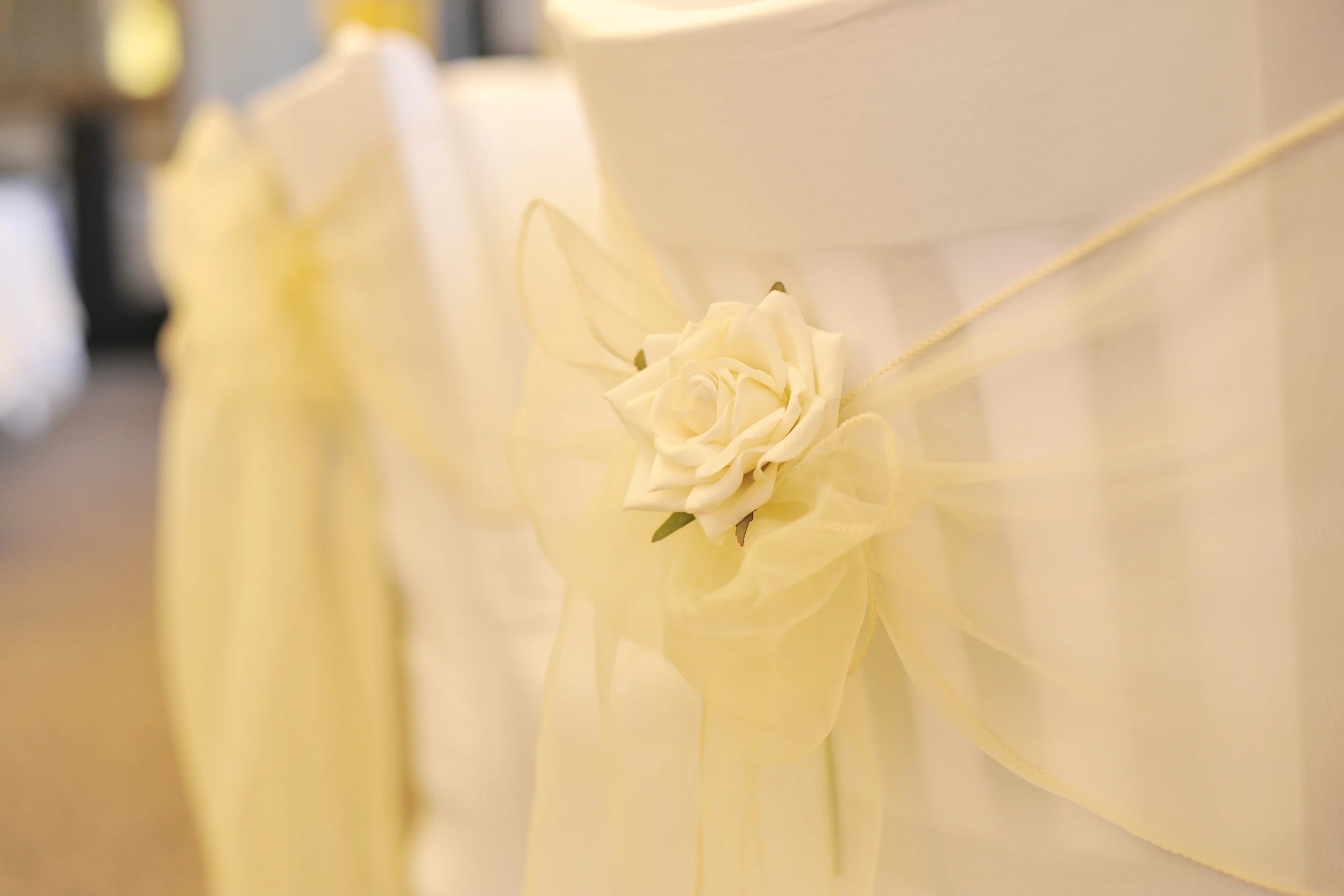 CHAIR COVERS & CHAIRS (6).JPG