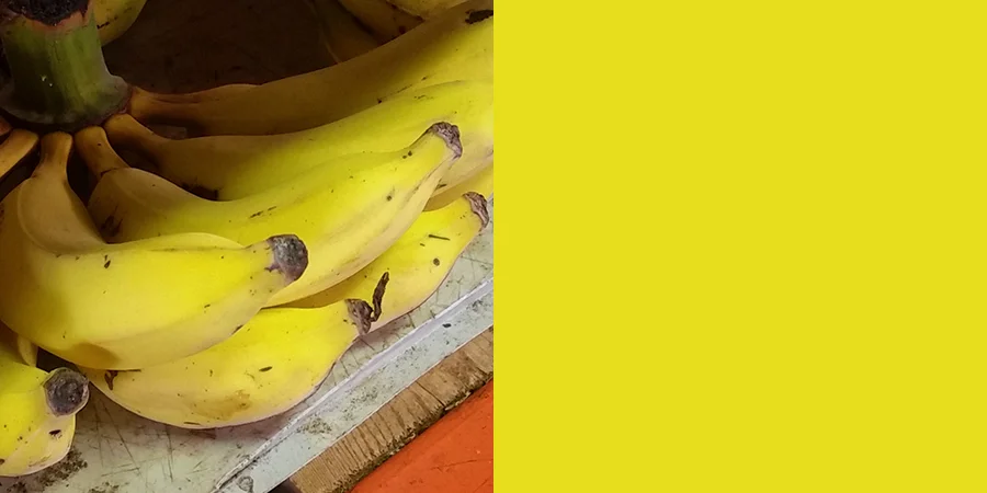 freshbananaYELLOW.jpg