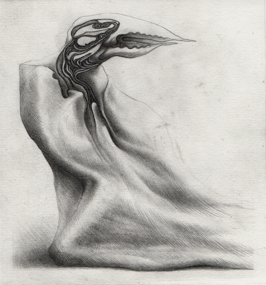 Bird In A Cloak