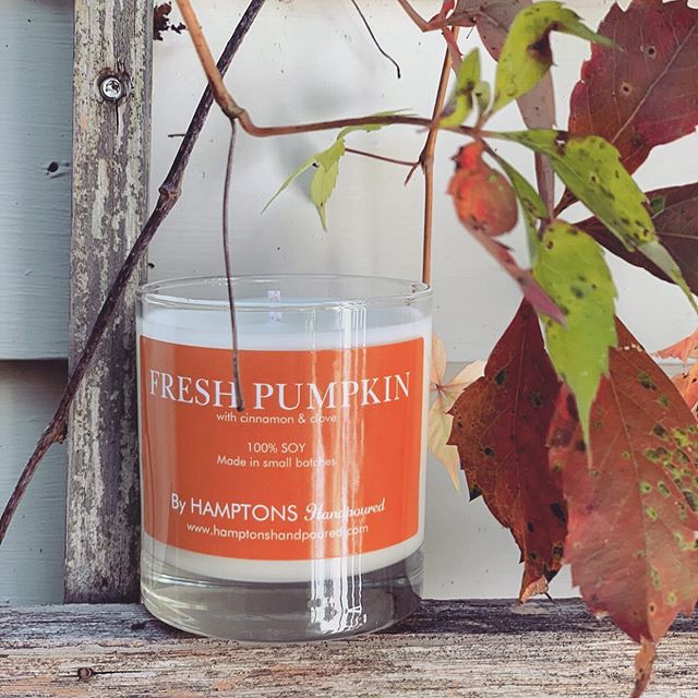 Rainy Long Island days made a little better with a hint of Pumpkin π§‘
#FreshPumpkin in her natural habitat πΈ: @classicallycait